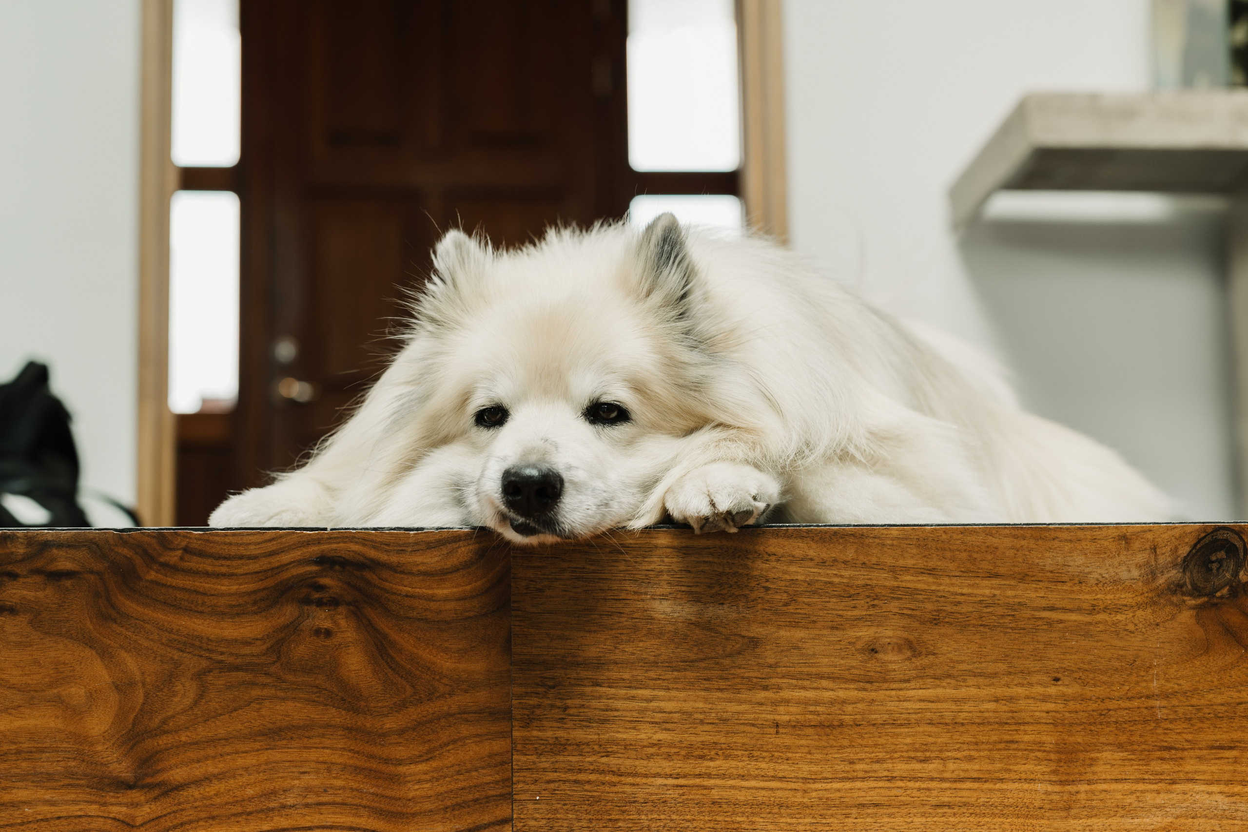 Maria and Matt. Michalina Dzianach Wedding Photographer Iceland