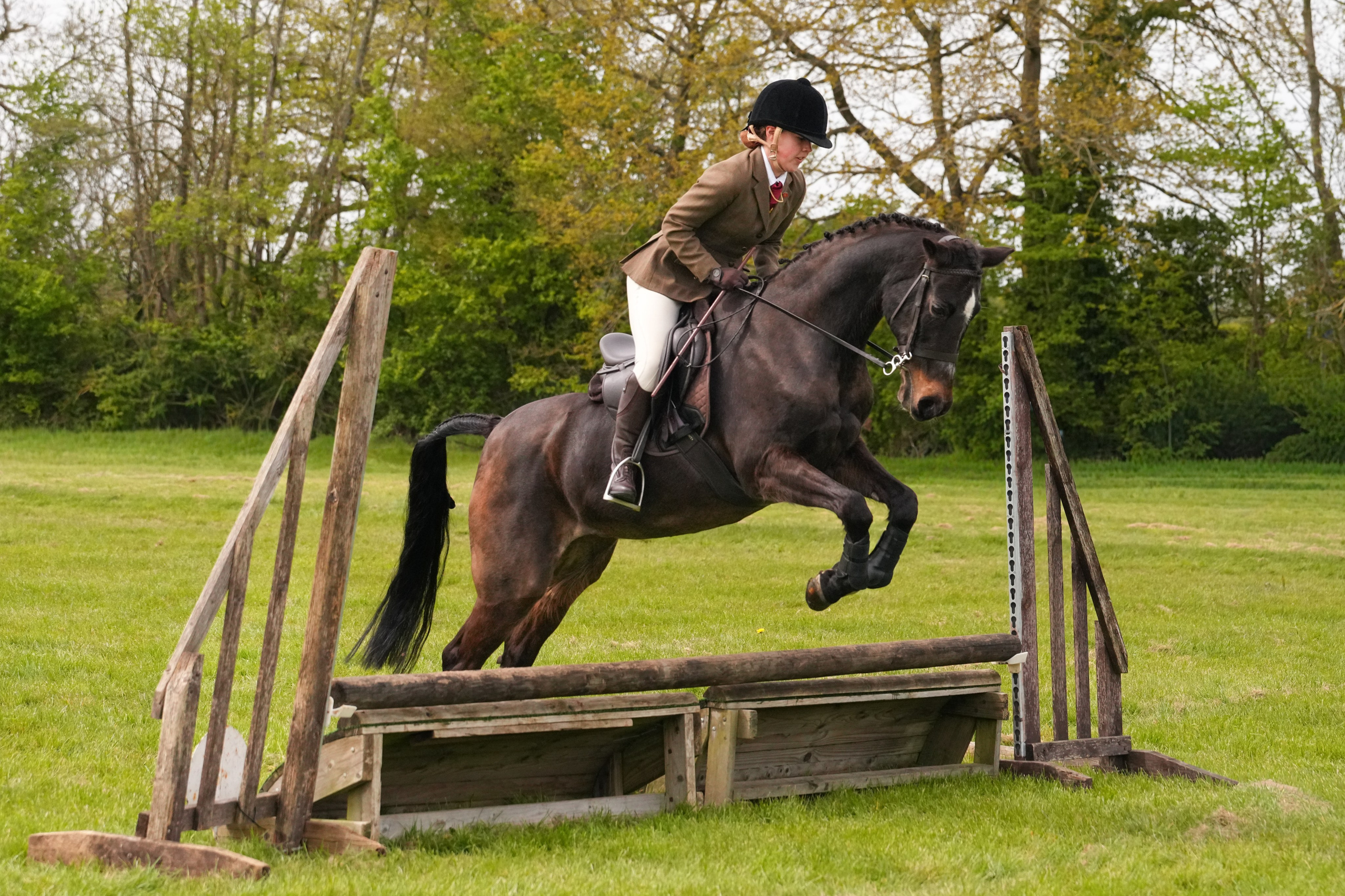Show Jumping Photography in Leicestershire | Equine Action Shots by El. Leicestershire Equine Photography by El | Authentic Equine Portraits & Events