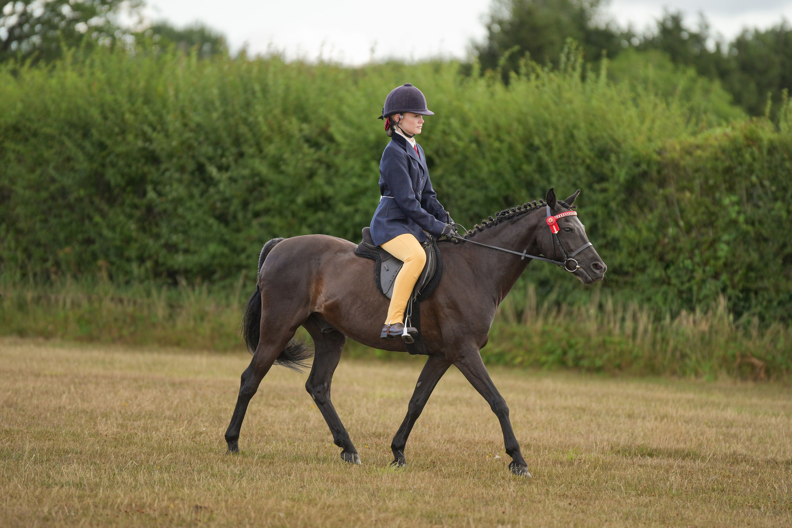 Showing. Leicestershire Equine Photography by El | Authentic Equine Portraits & Events