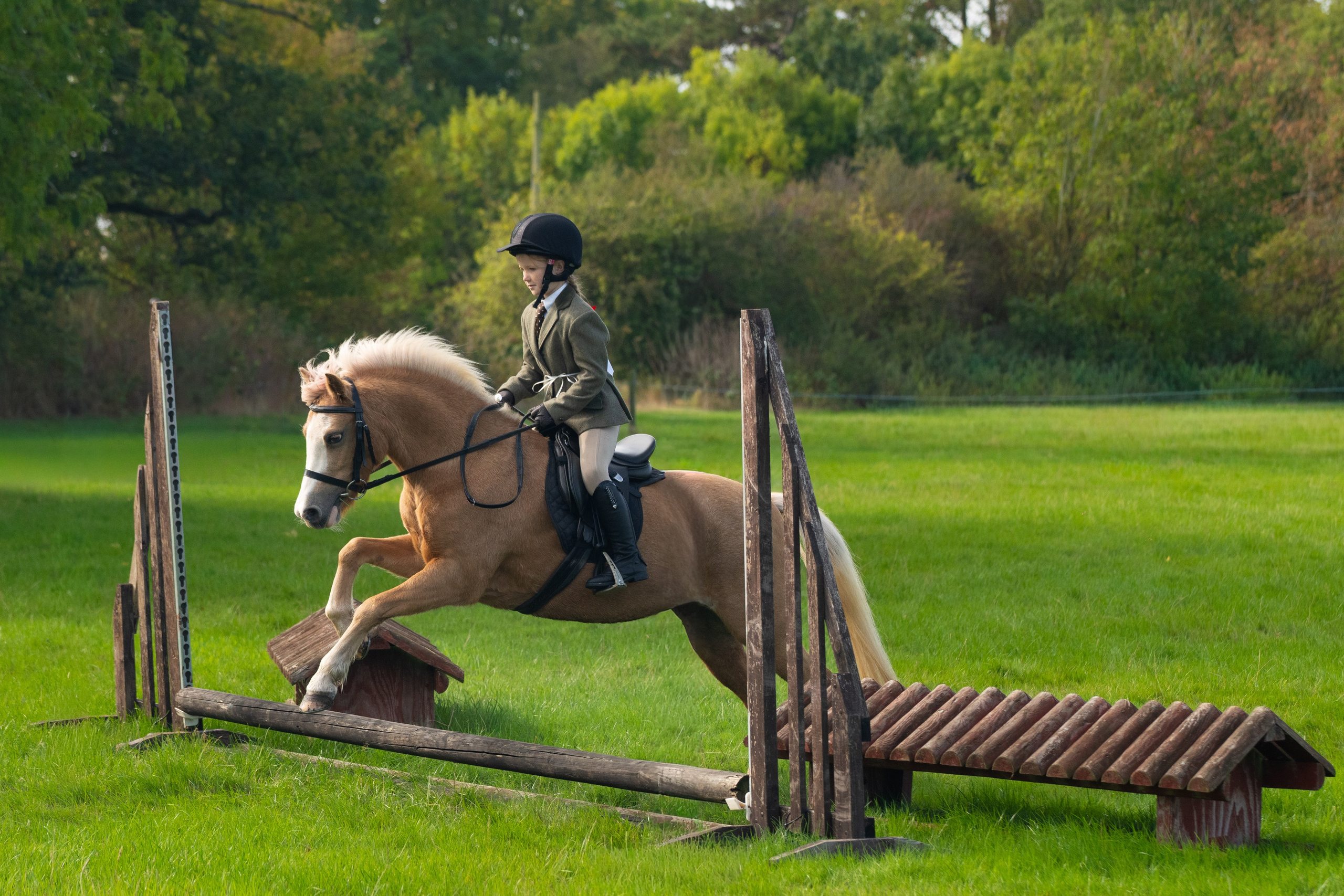 Show Jumping Photography in Leicestershire | Equine Action Shots by El. Leicestershire Equine Photography by El | Authentic Equine Portraits & Events