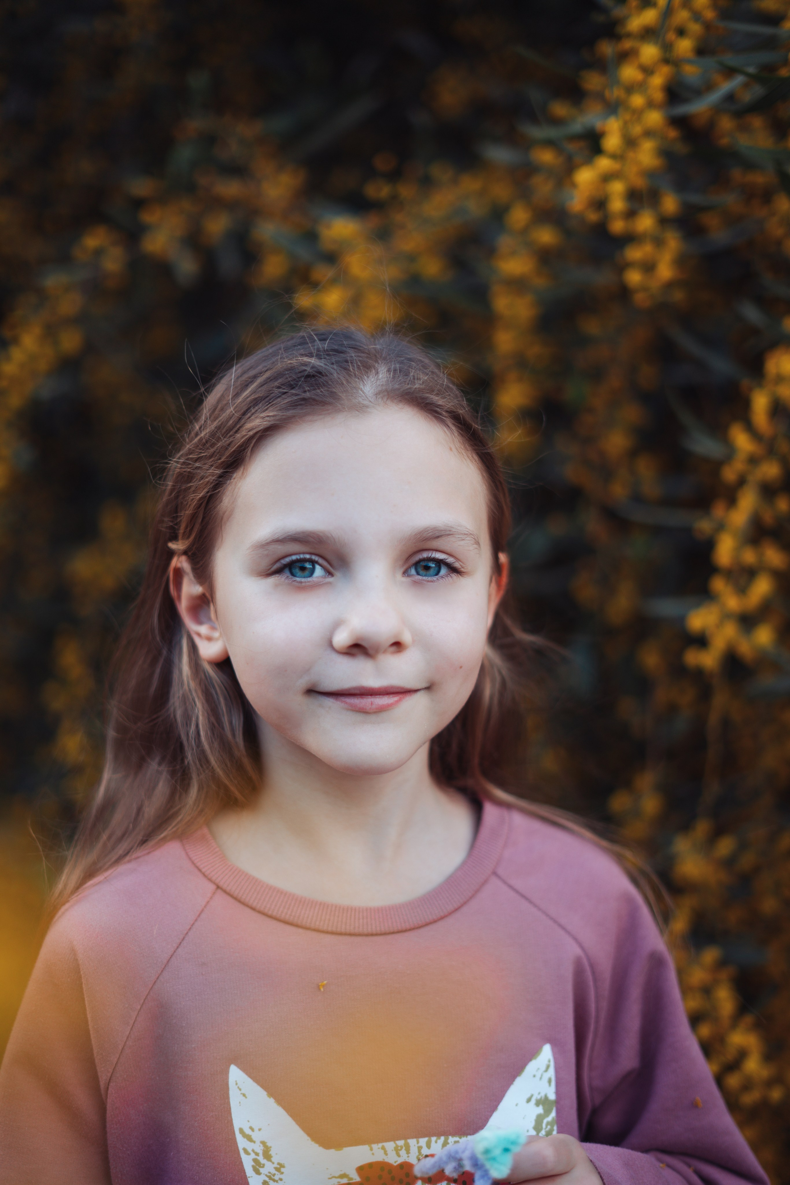 Мимоза. Анастасия Благова — Твой фотограф в Малаге 🇪🇸
