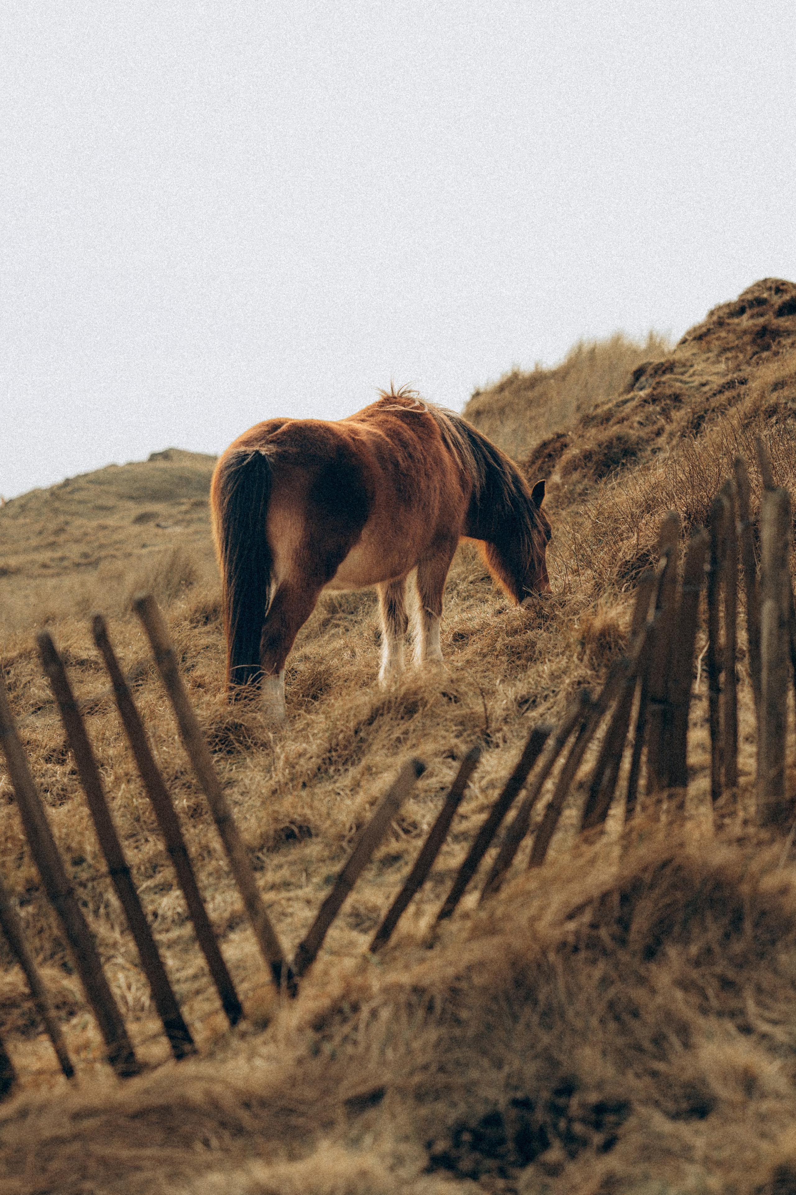M & C session in Wales. Tania Gandrabur, photographer in West Midlands, England