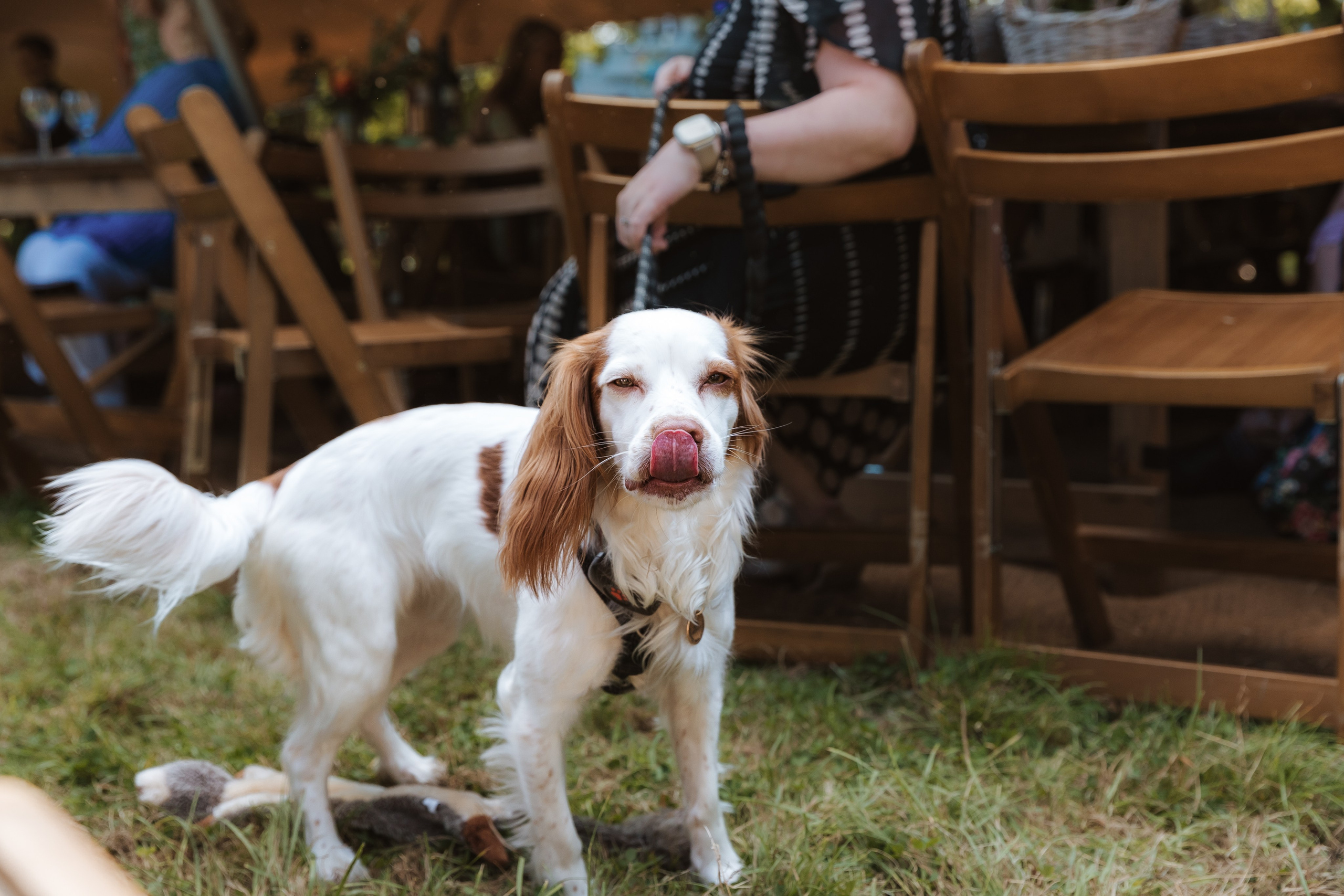 Wedding in forest. Timeless Wedding & Event Photography — based London, working across Europe