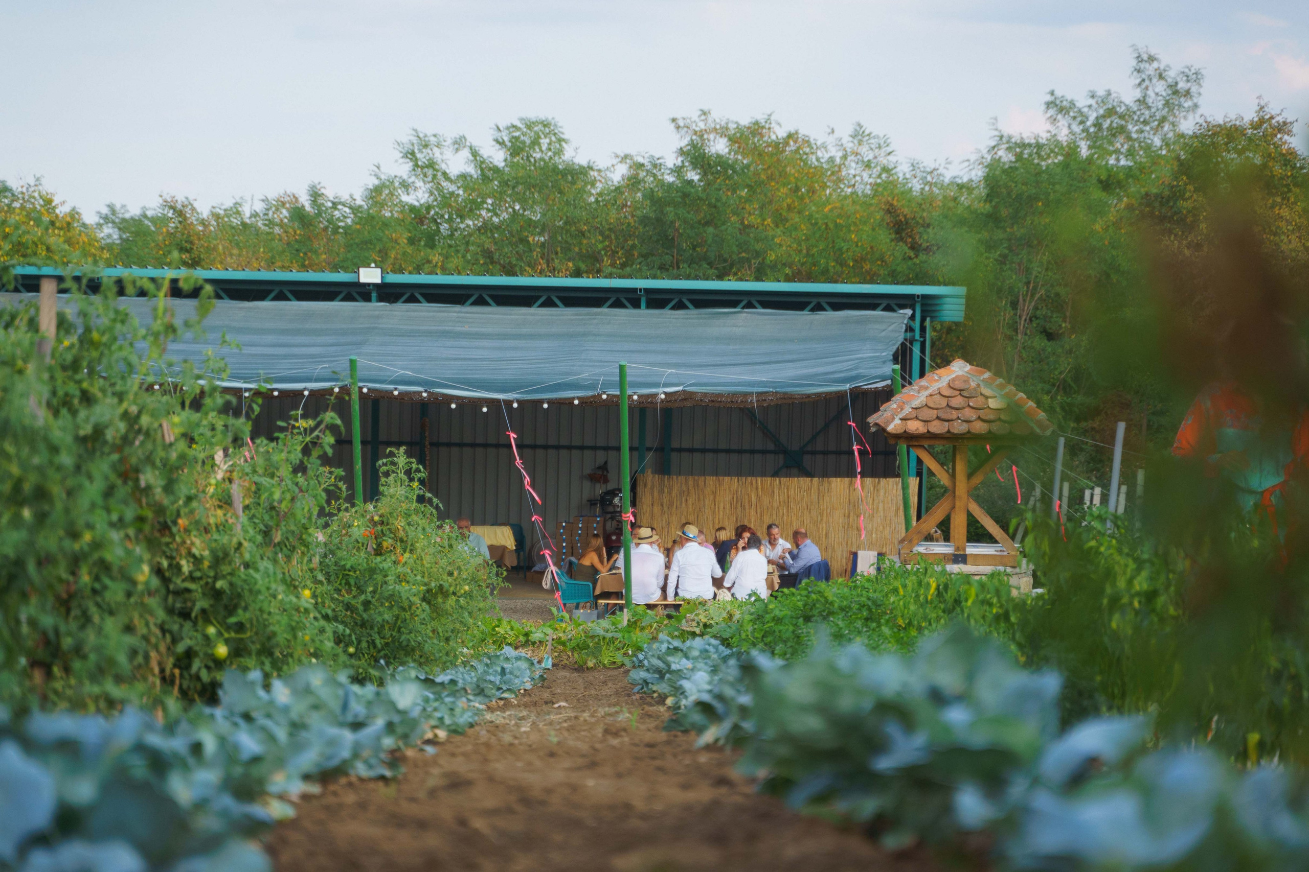 Jeep Commerce Event. Žukov Studio