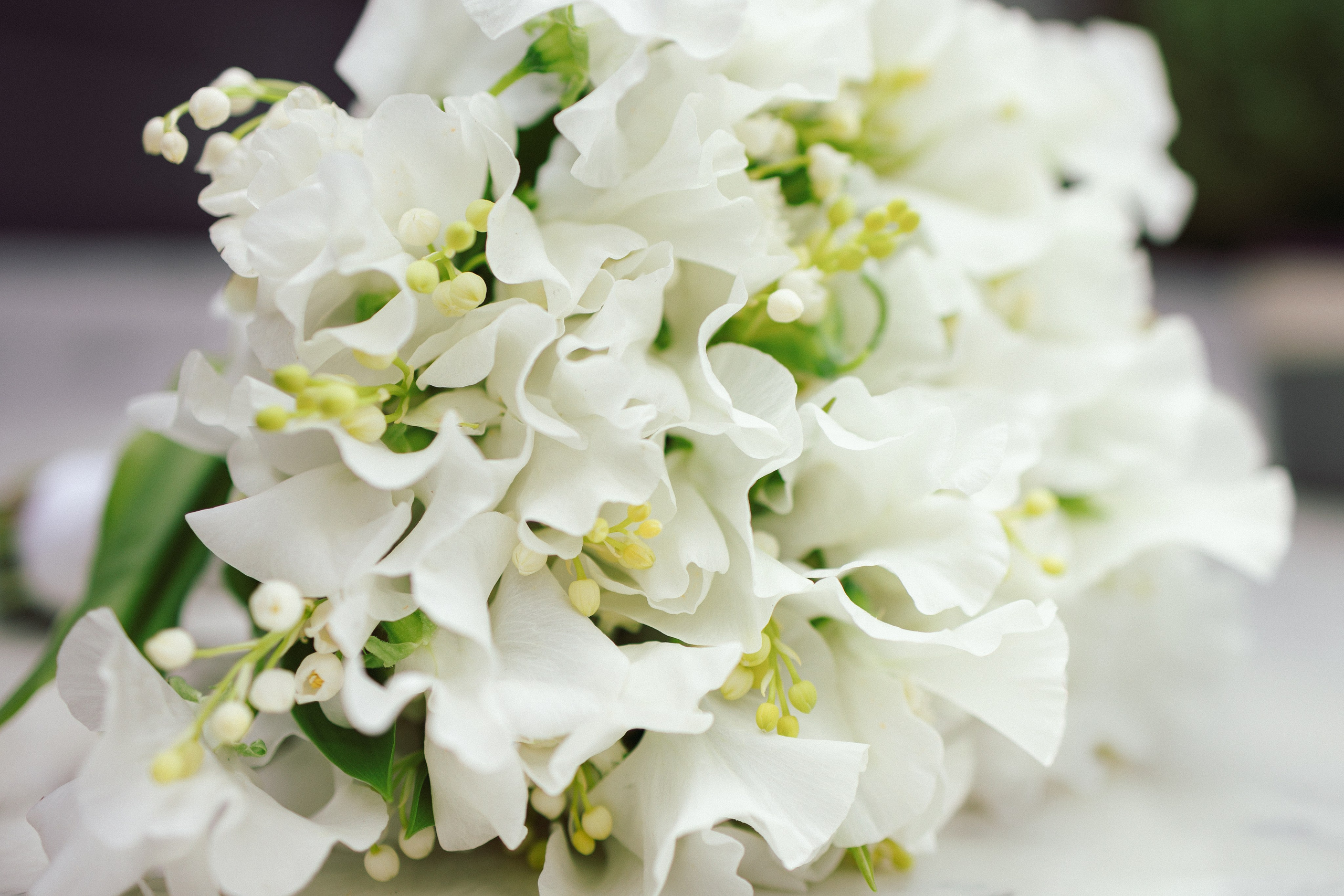 Wedding photography. Timeless Wedding & Event Photography — based London, working across Europe