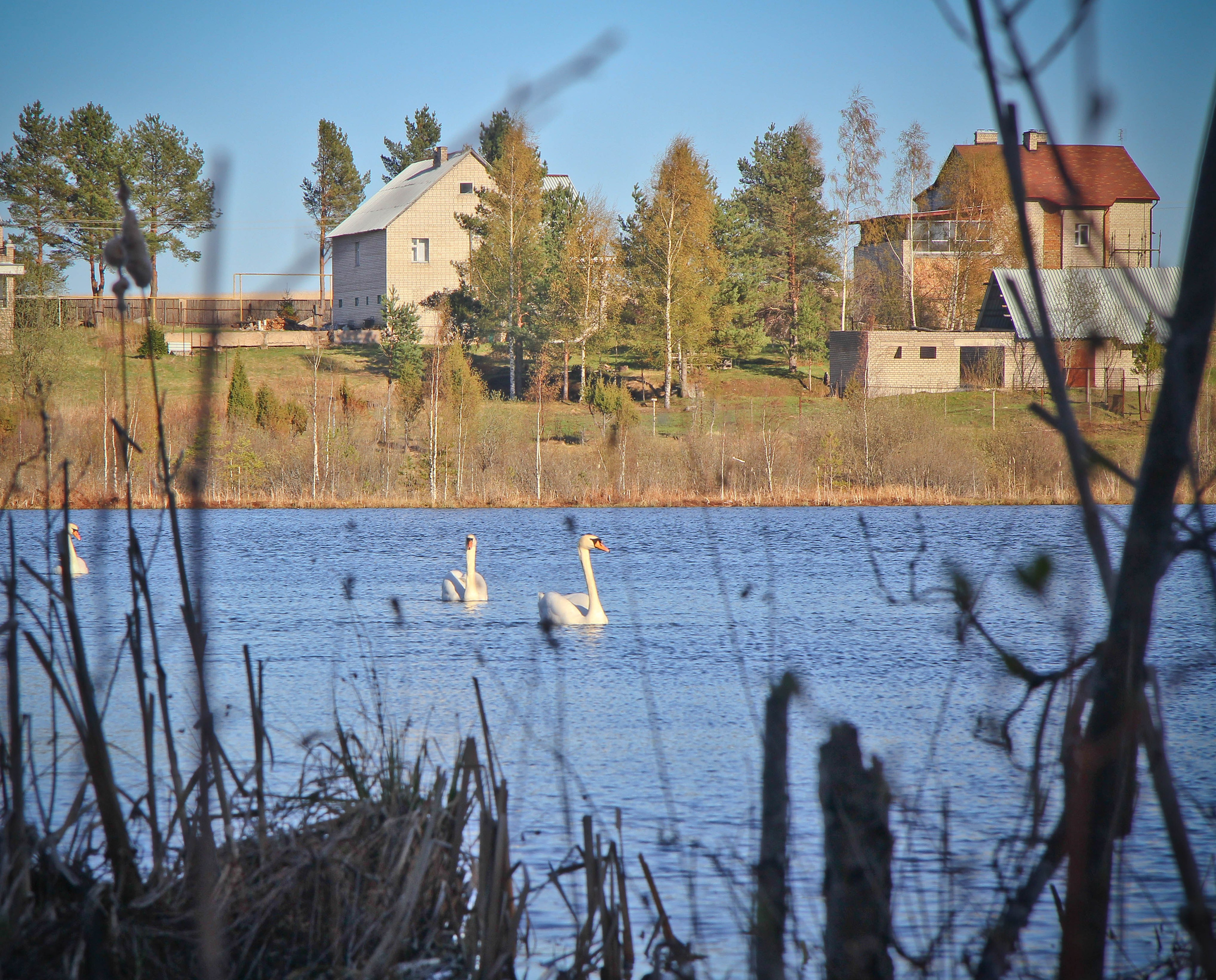 2012. Стрит-фотография, полная абсурда, идиотизма и красоты
