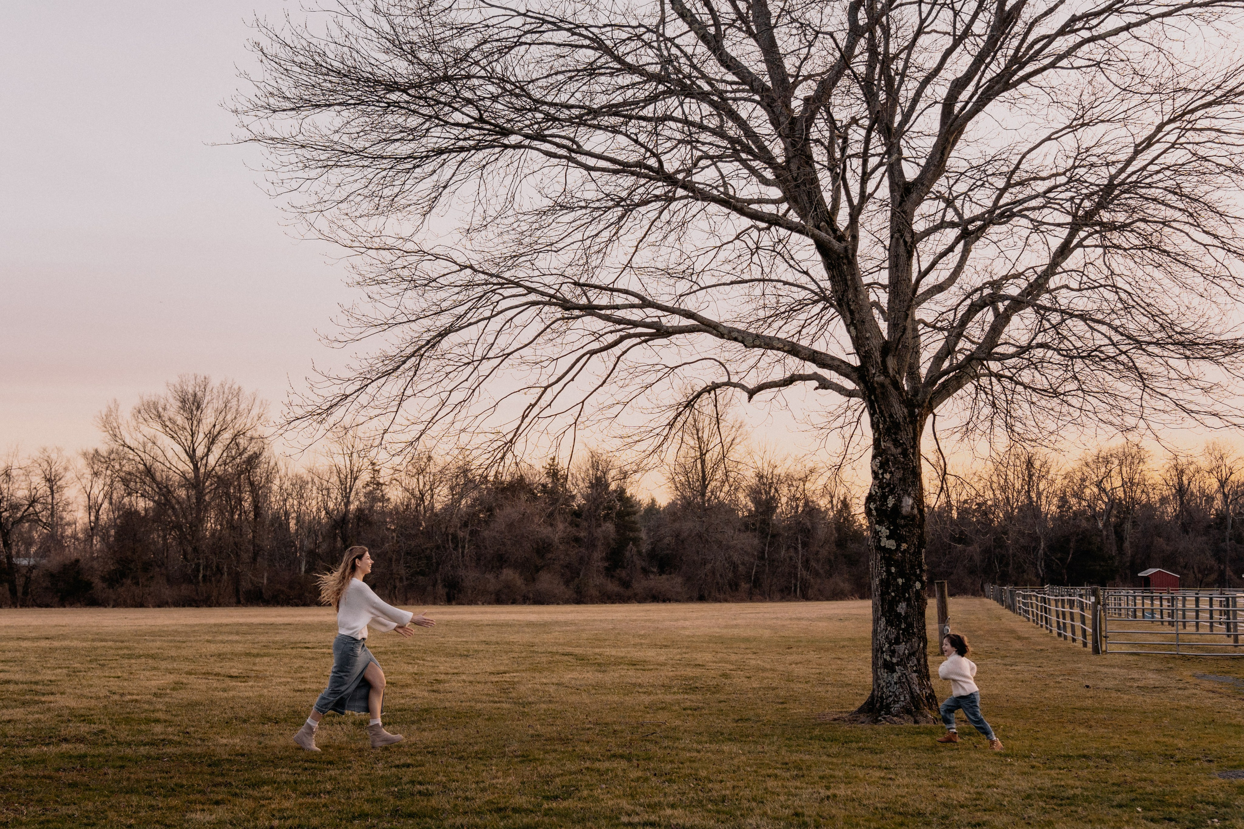 Alpaca’s farm. Wedding and family photographer and videographer PA, NJ, NY, DE, MD