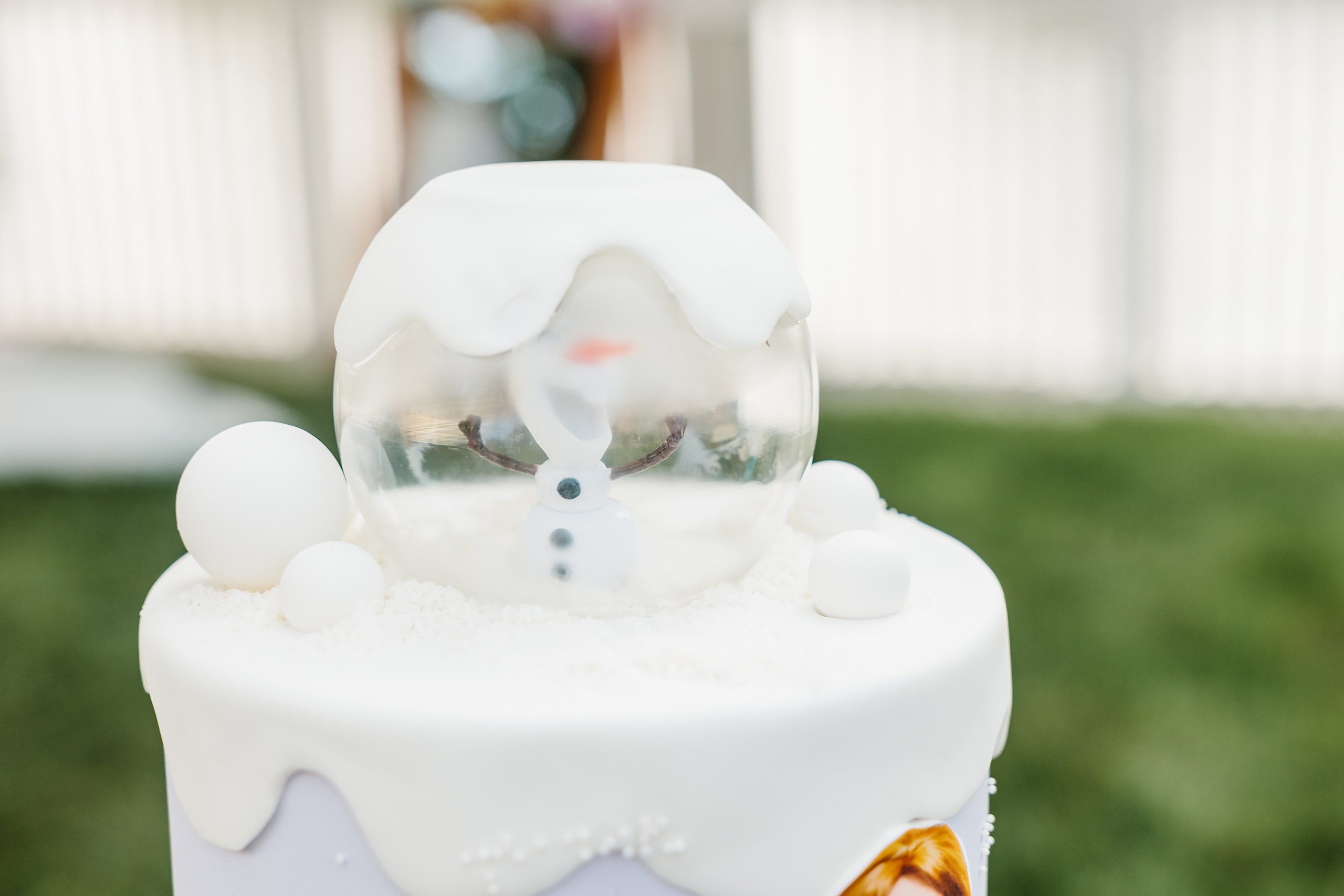 07.27.2024 Birthday Party. Wedding family event photographer in Chicago Nick Yushevich