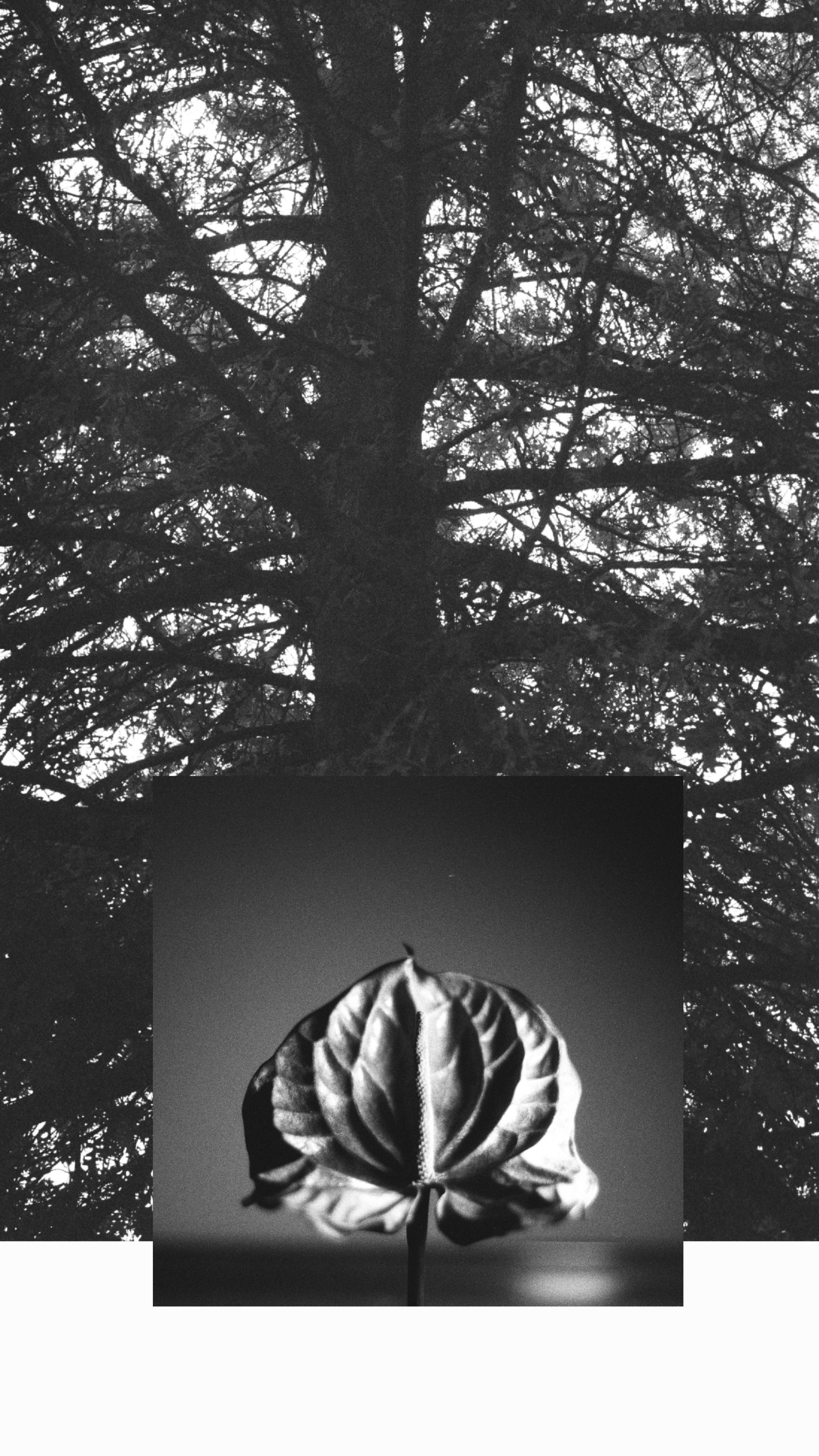 Art. Photographe à Rennes/Bruz