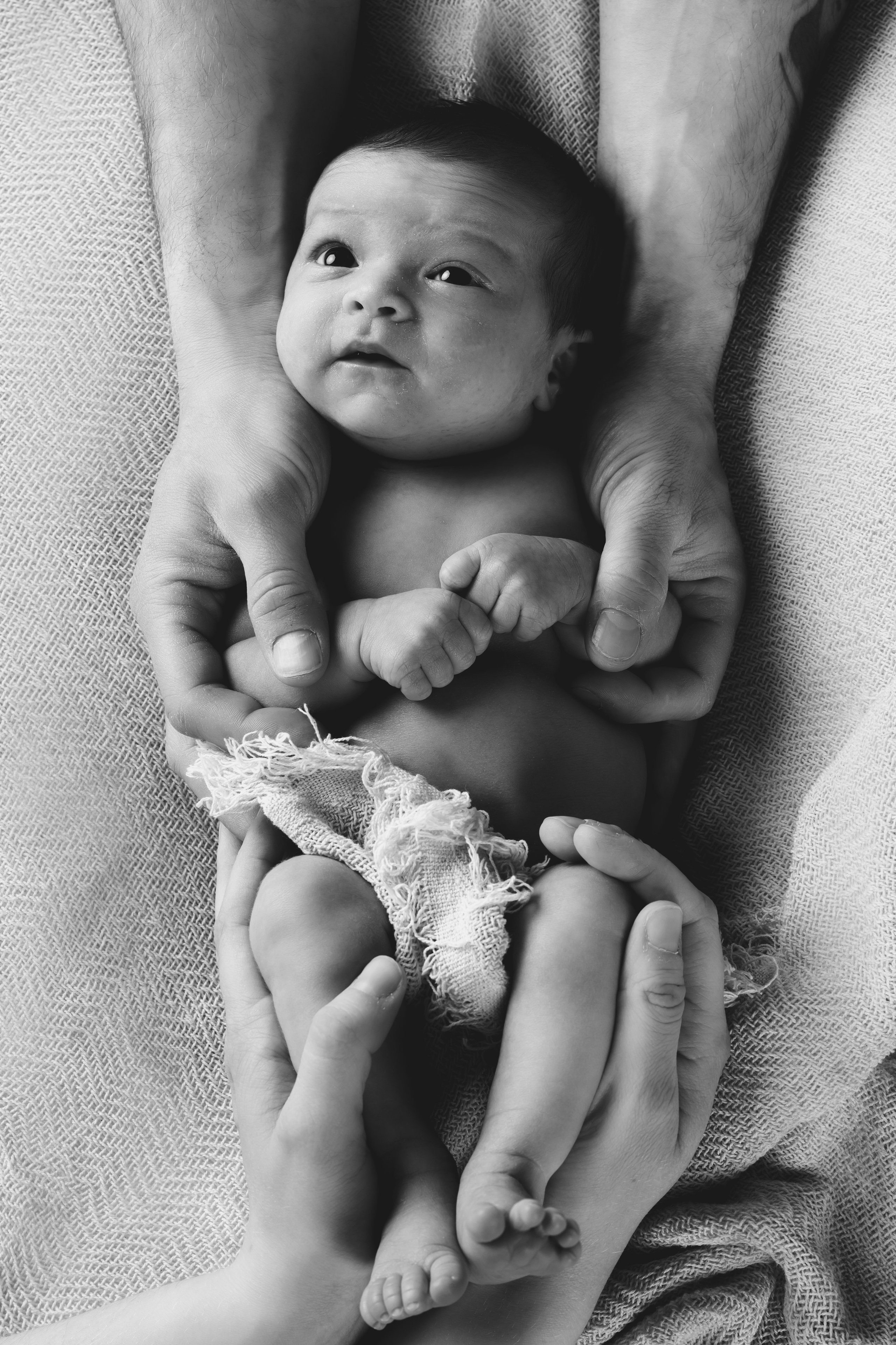 Barn- og familiefotografering. Familiefotograf i Narvik kommune