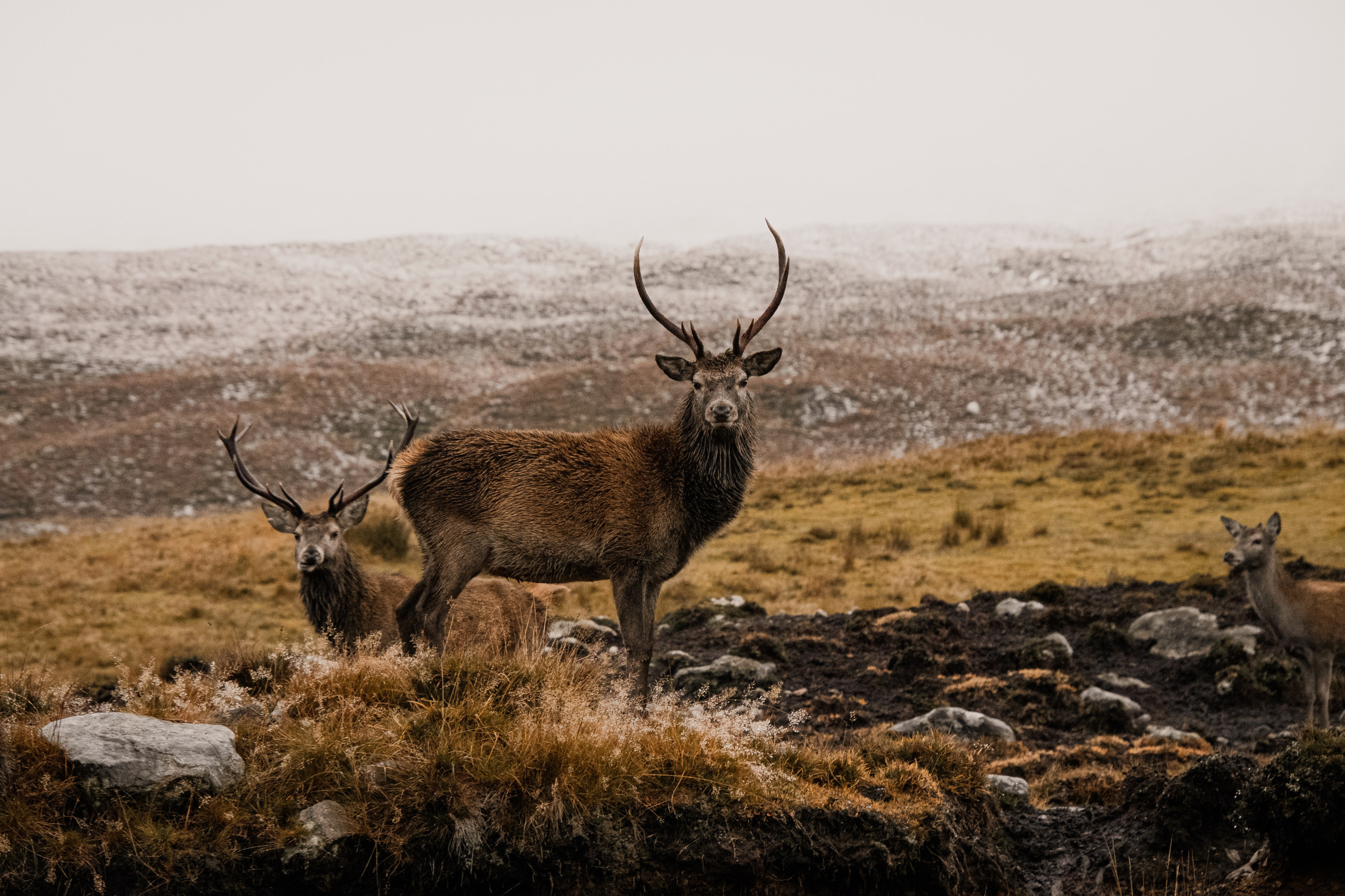 Rotloch — Photography & Videography | Berlin