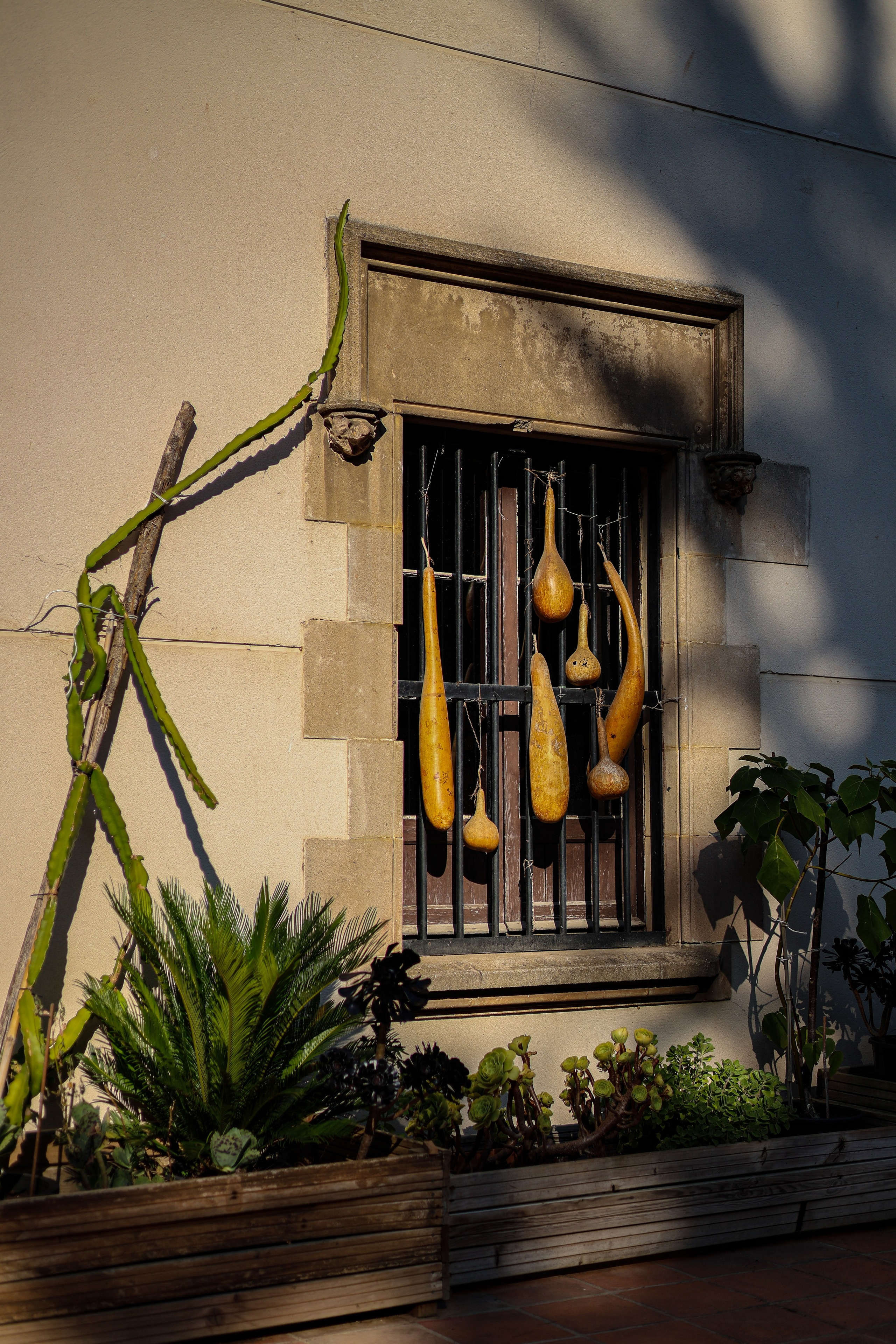 Street. ARTAMIND Photography. Portraits, Family Sessions, Events. Buffalo, NY