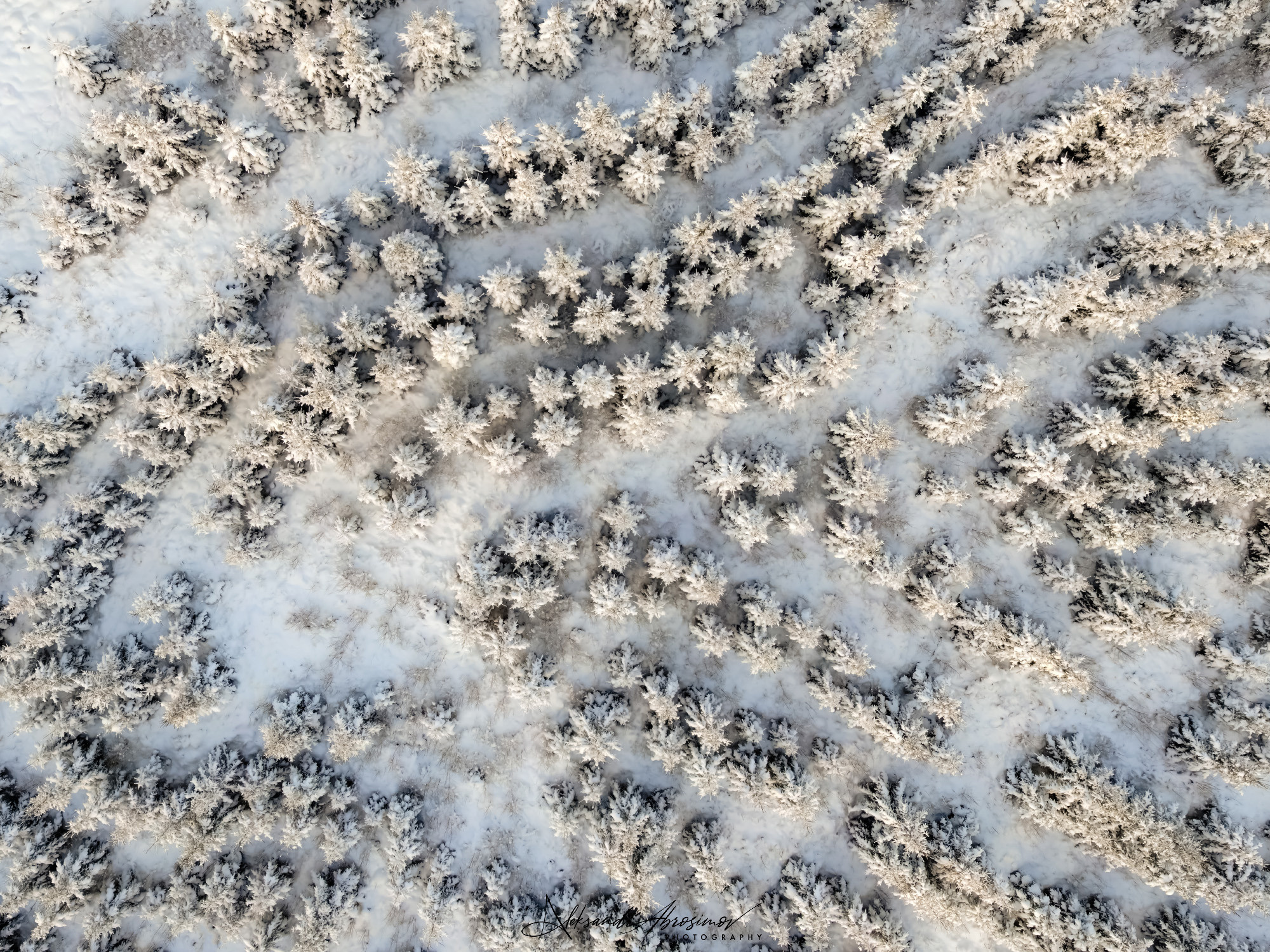 Aerial photography. Аэрофотосъемка. Aleksandr Abrosimov Photography