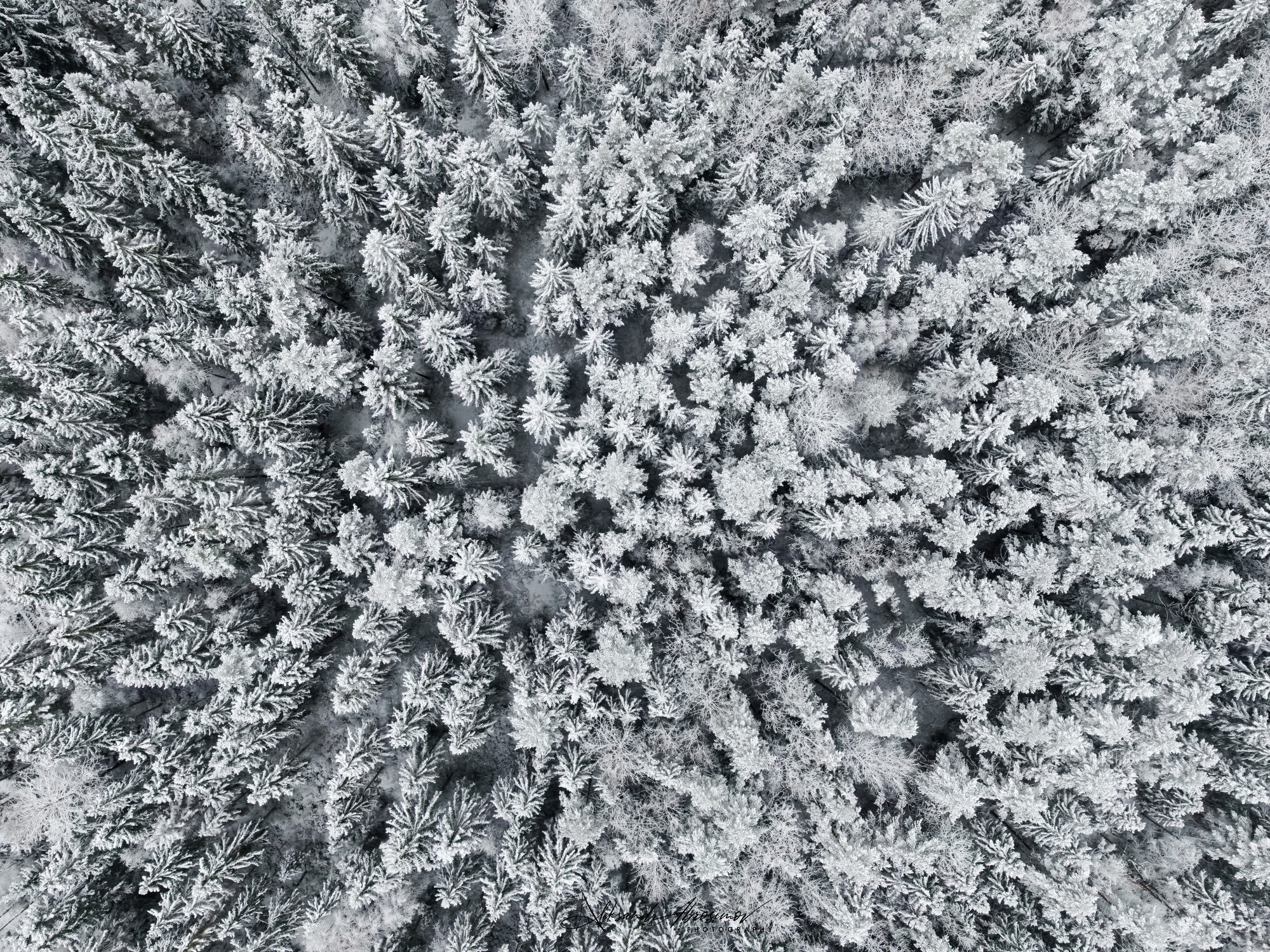 Aerial photography. Аэрофотосъемка. Aleksandr Abrosimov Photography