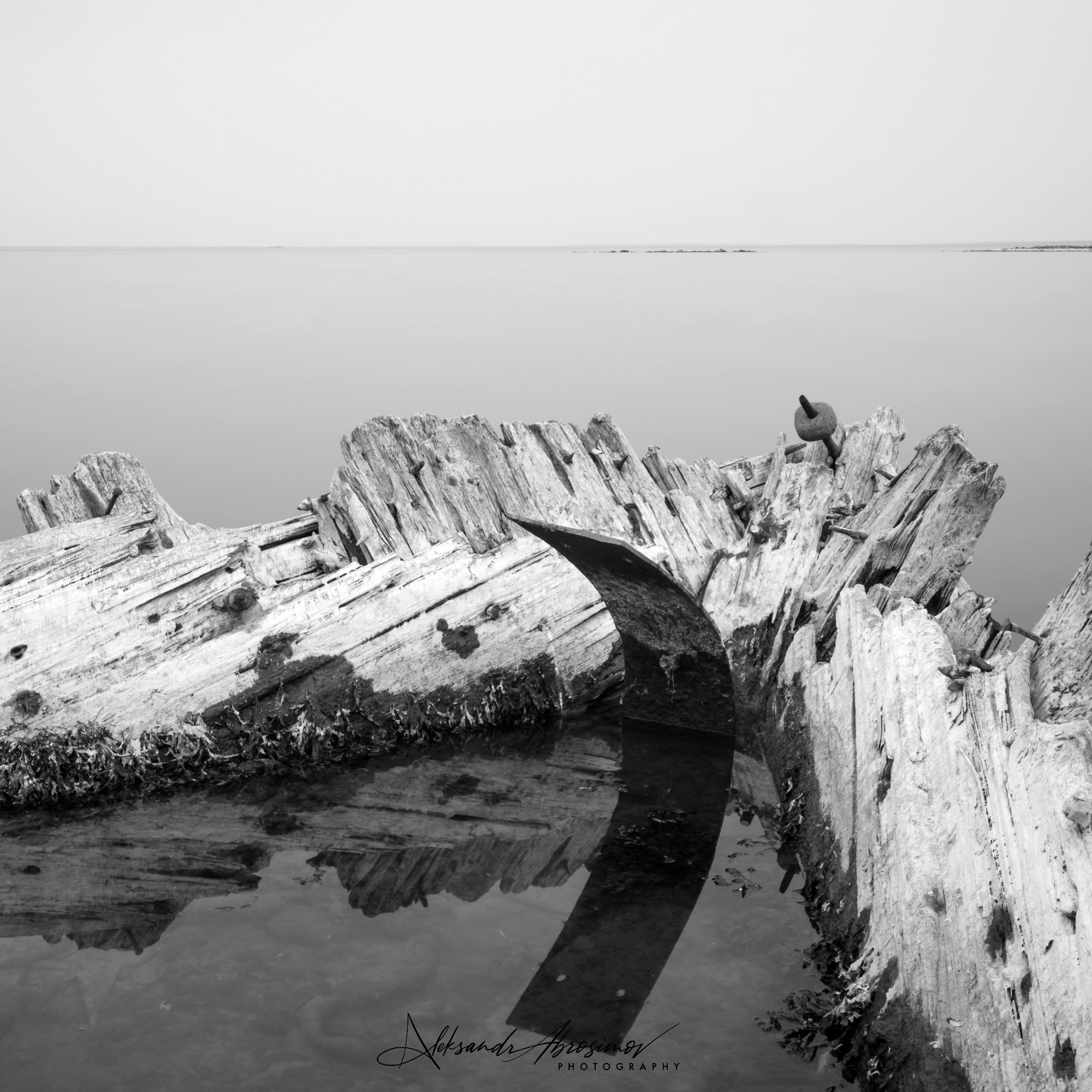 Art. Aleksandr Abrosimov Photography