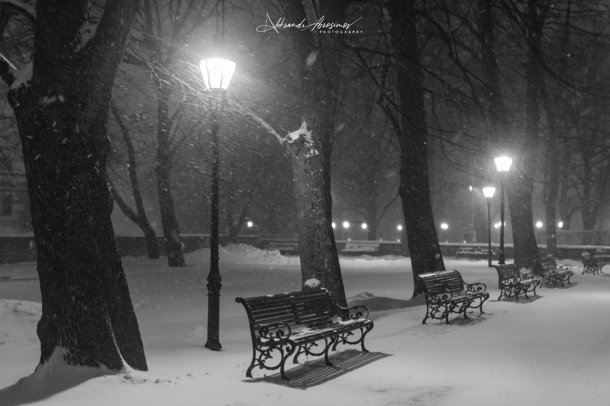 B&W. Aleksandr Abrosimov Photography