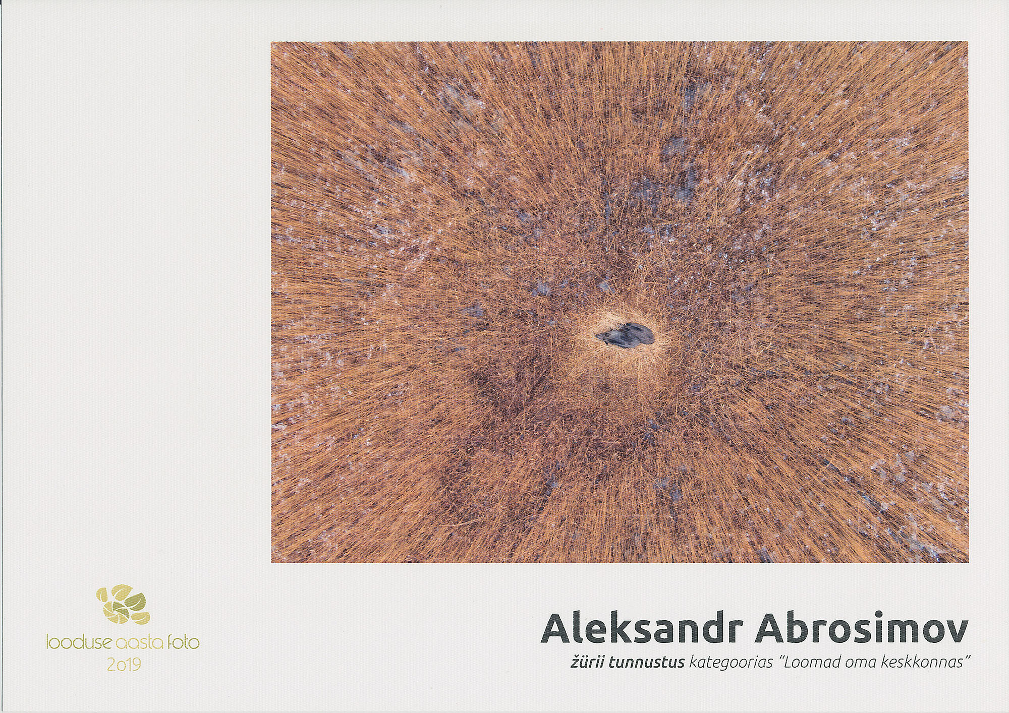 Awards and publications. Aleksandr Abrosimov Photography