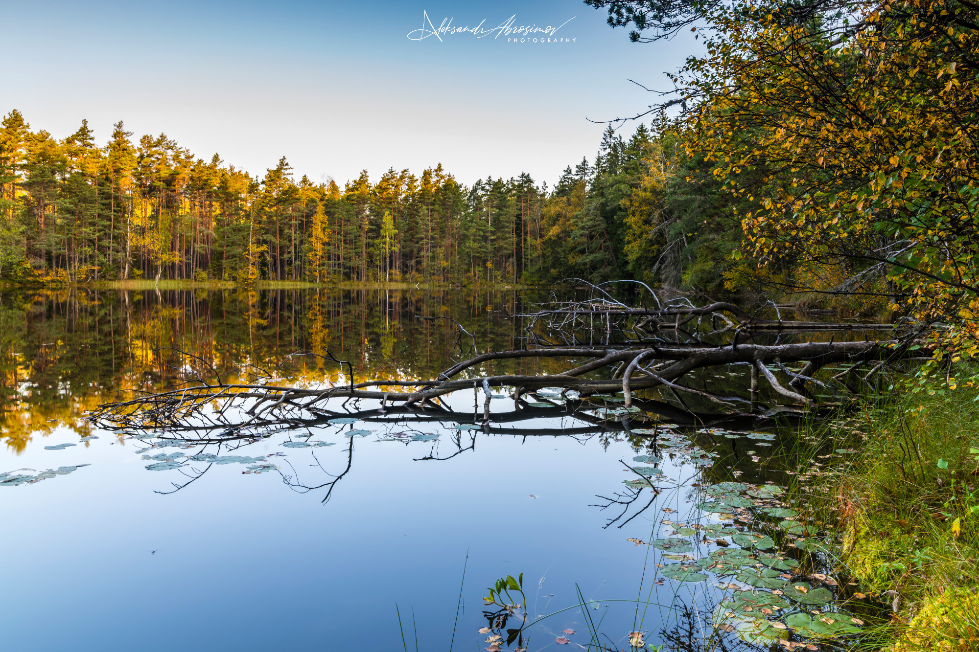 Landscapes. Пейзажи. Aleksandr Abrosimov Photography