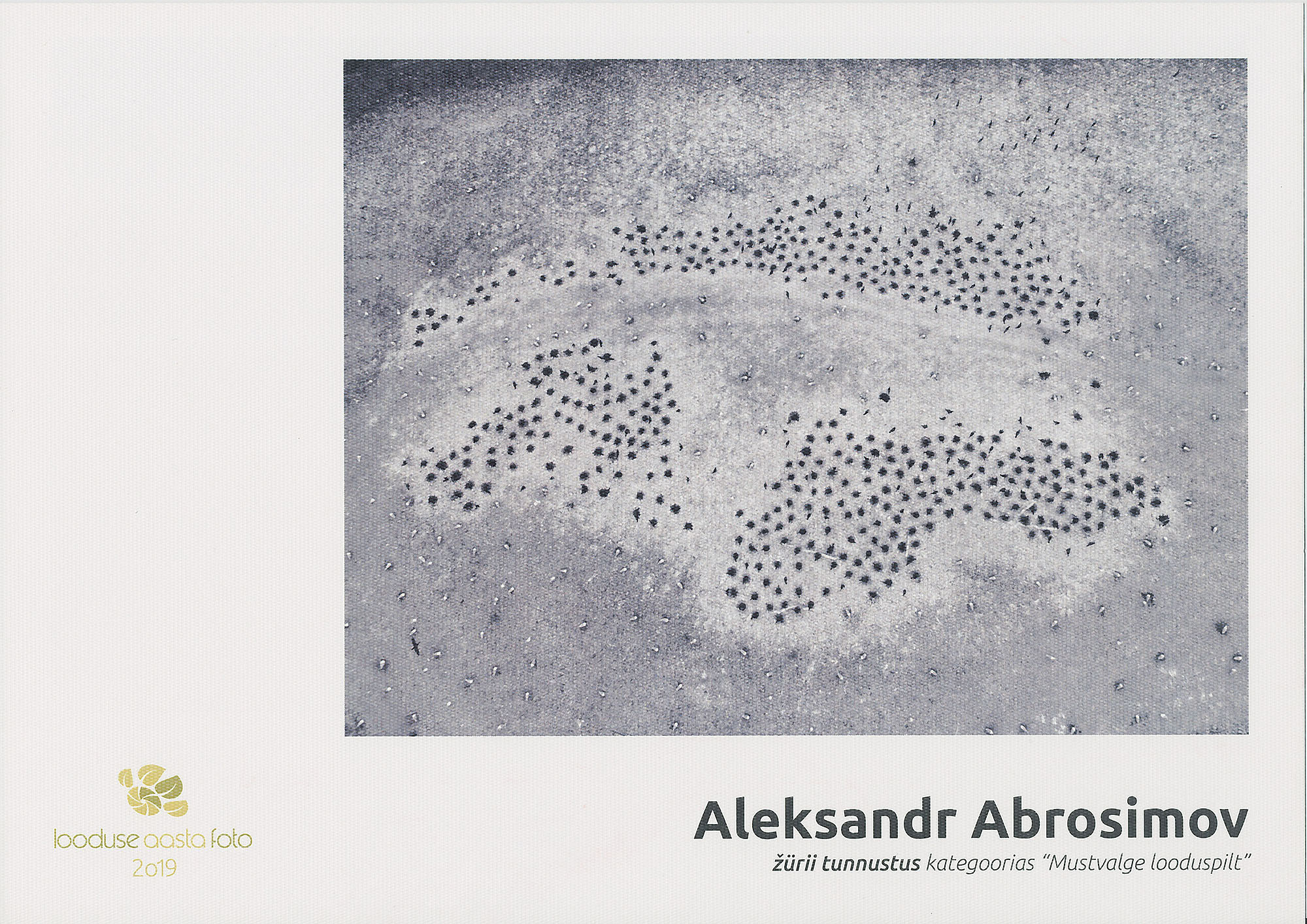 Awards and publications. Aleksandr Abrosimov Photography