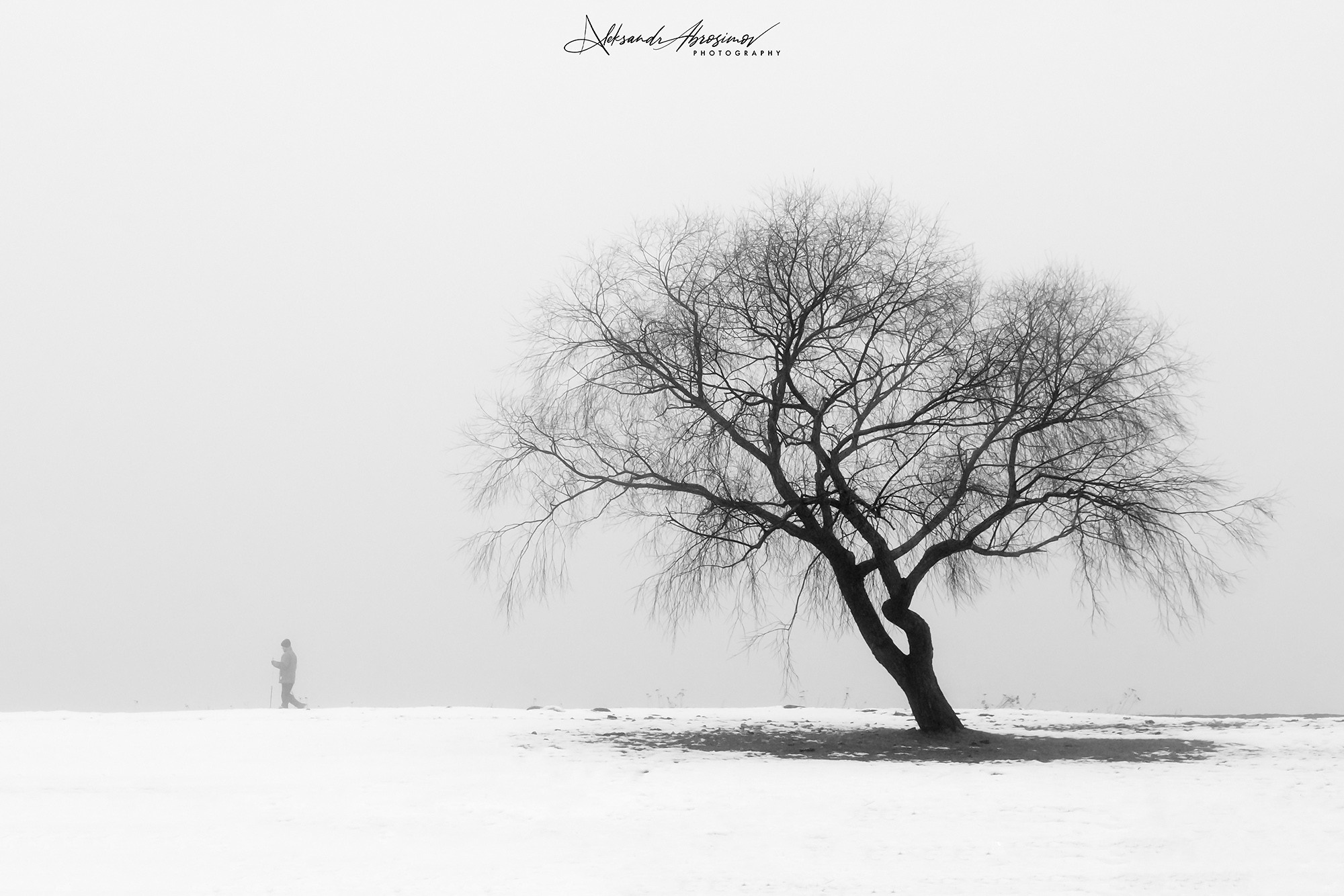 B&W. Aleksandr Abrosimov Photography