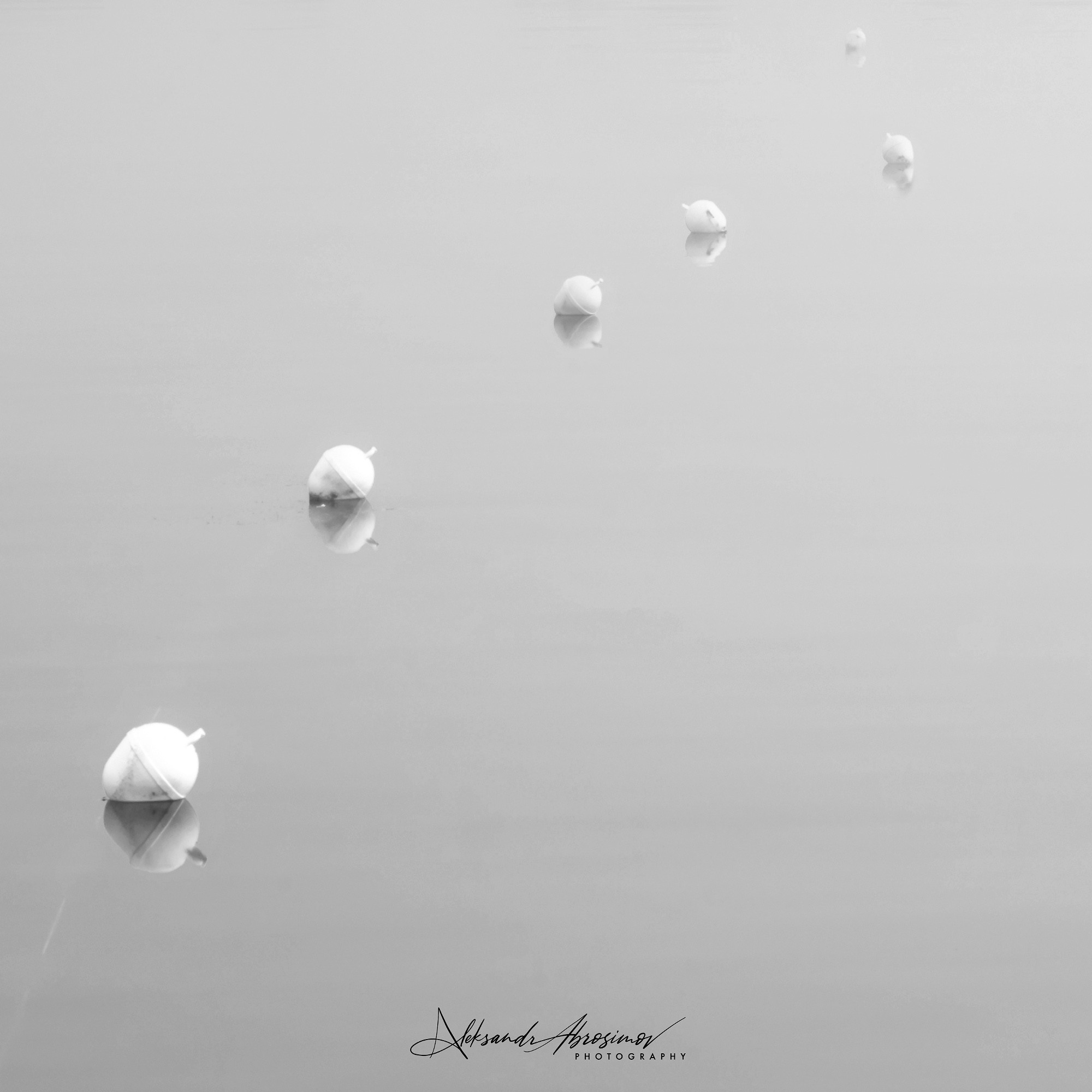 Art. Aleksandr Abrosimov Photography