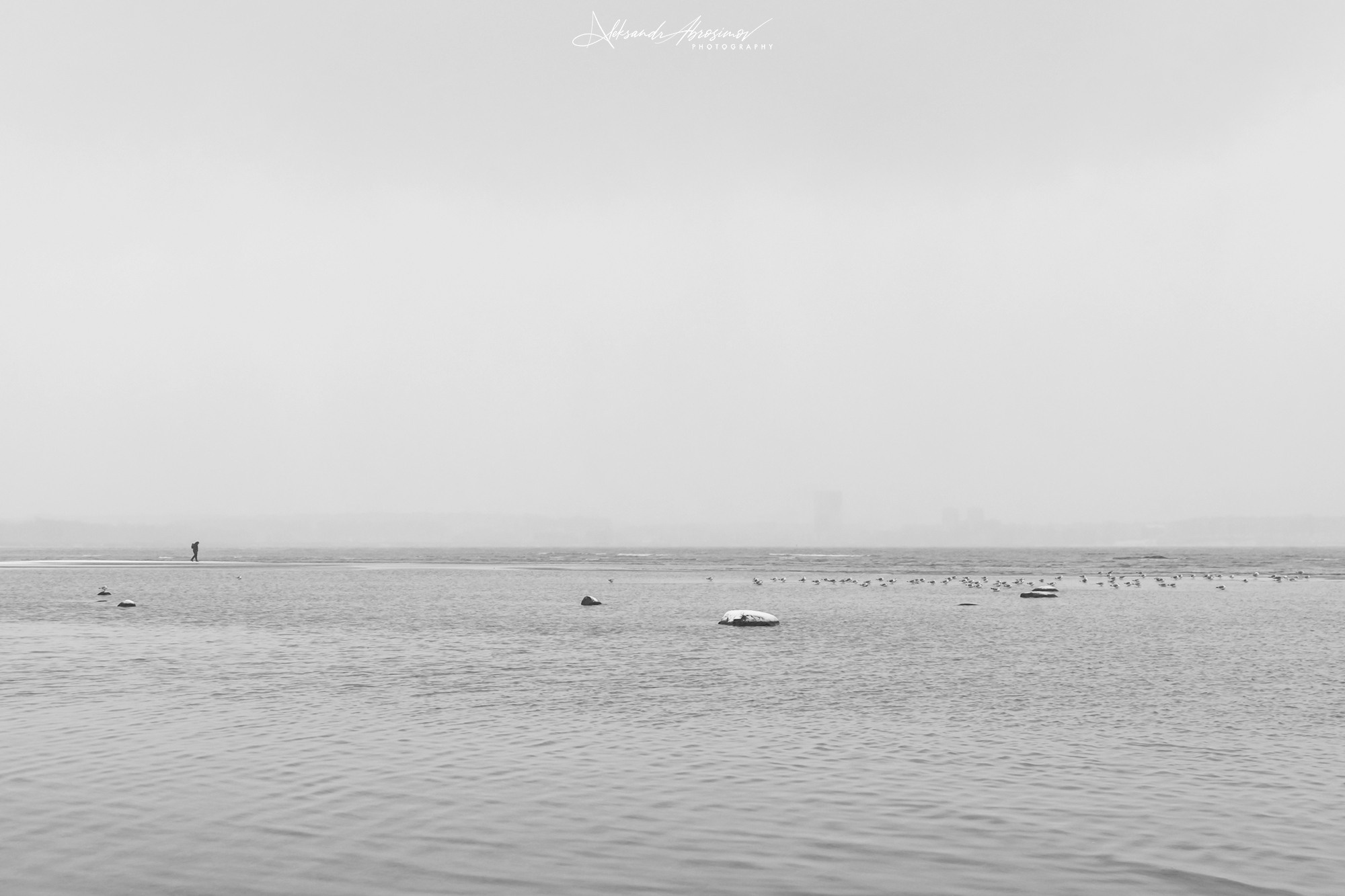 B&W. Aleksandr Abrosimov Photography