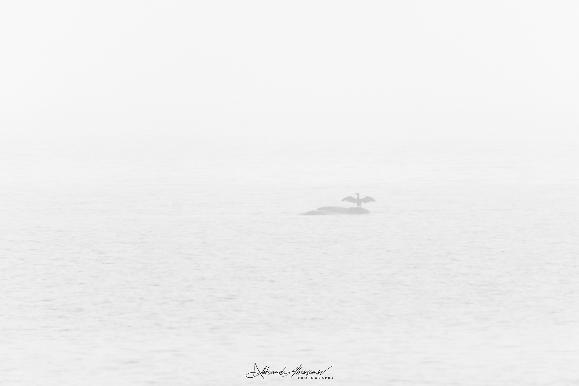 B&W. Aleksandr Abrosimov Photography