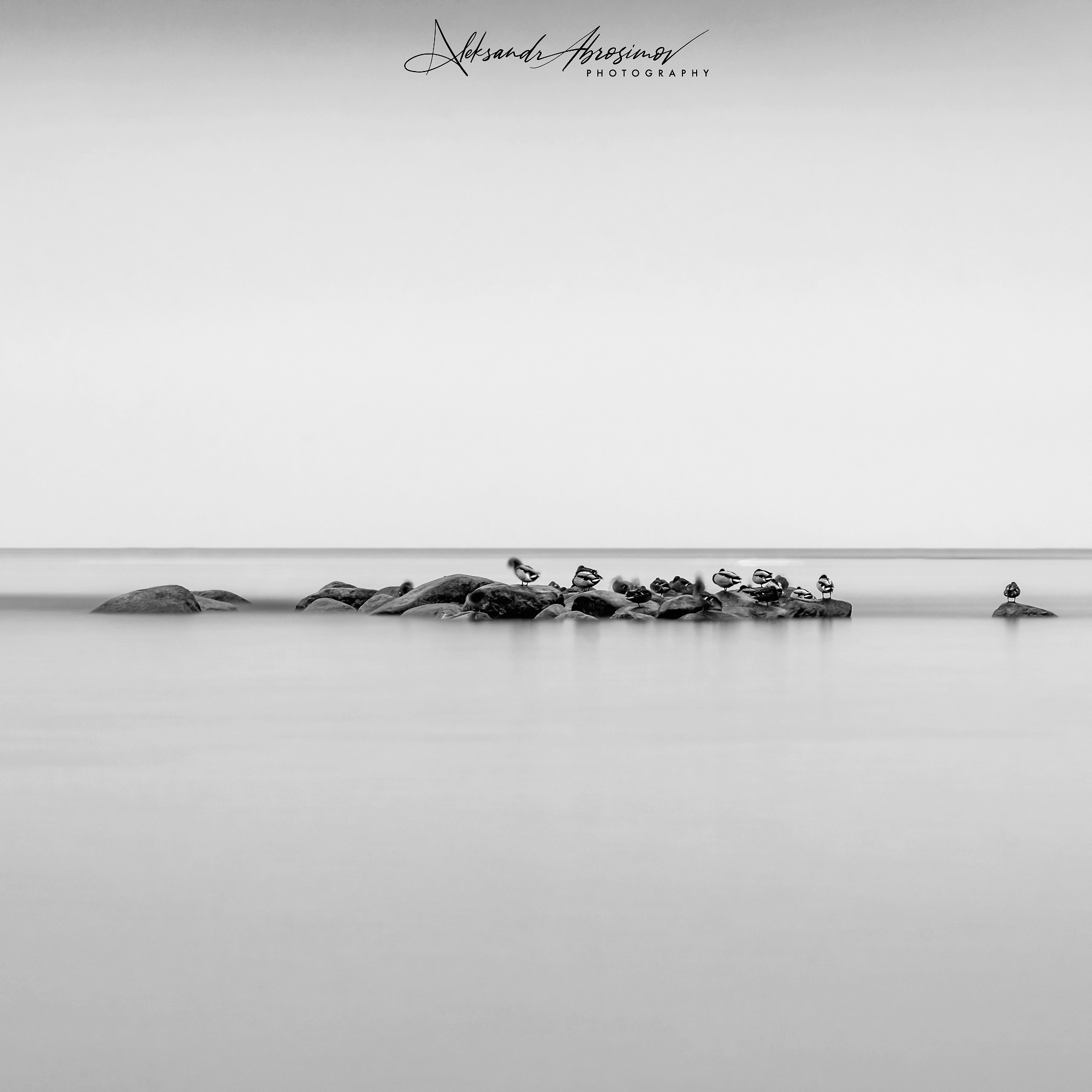 Art. Aleksandr Abrosimov Photography