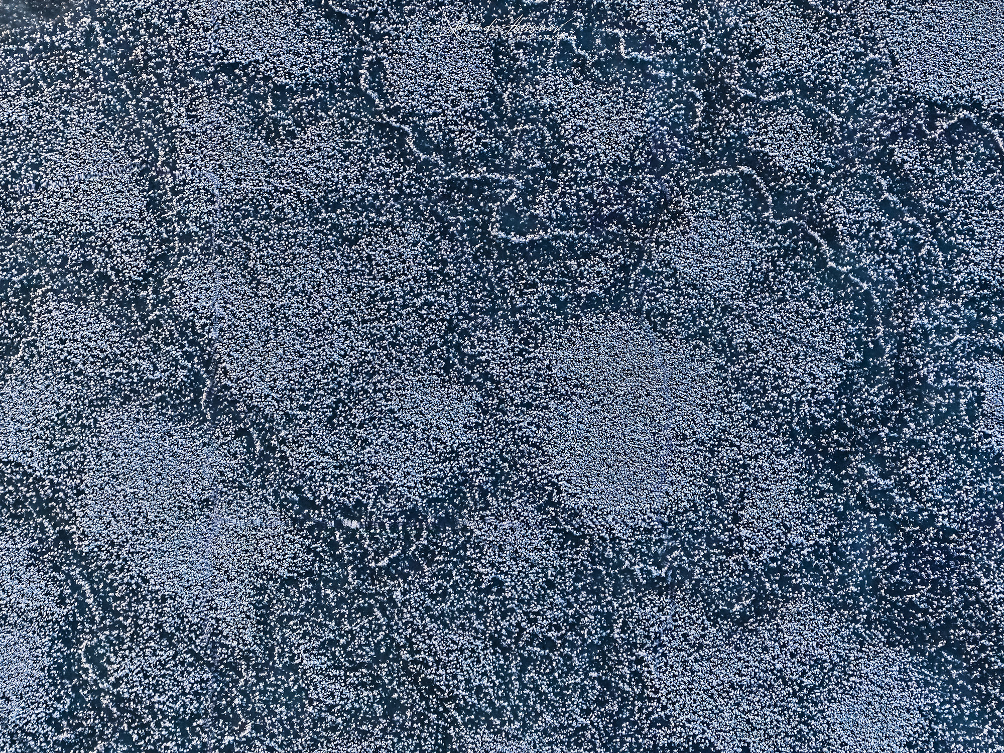 Рисунки природы. The drawings of nature. Aleksandr Abrosimov Photography