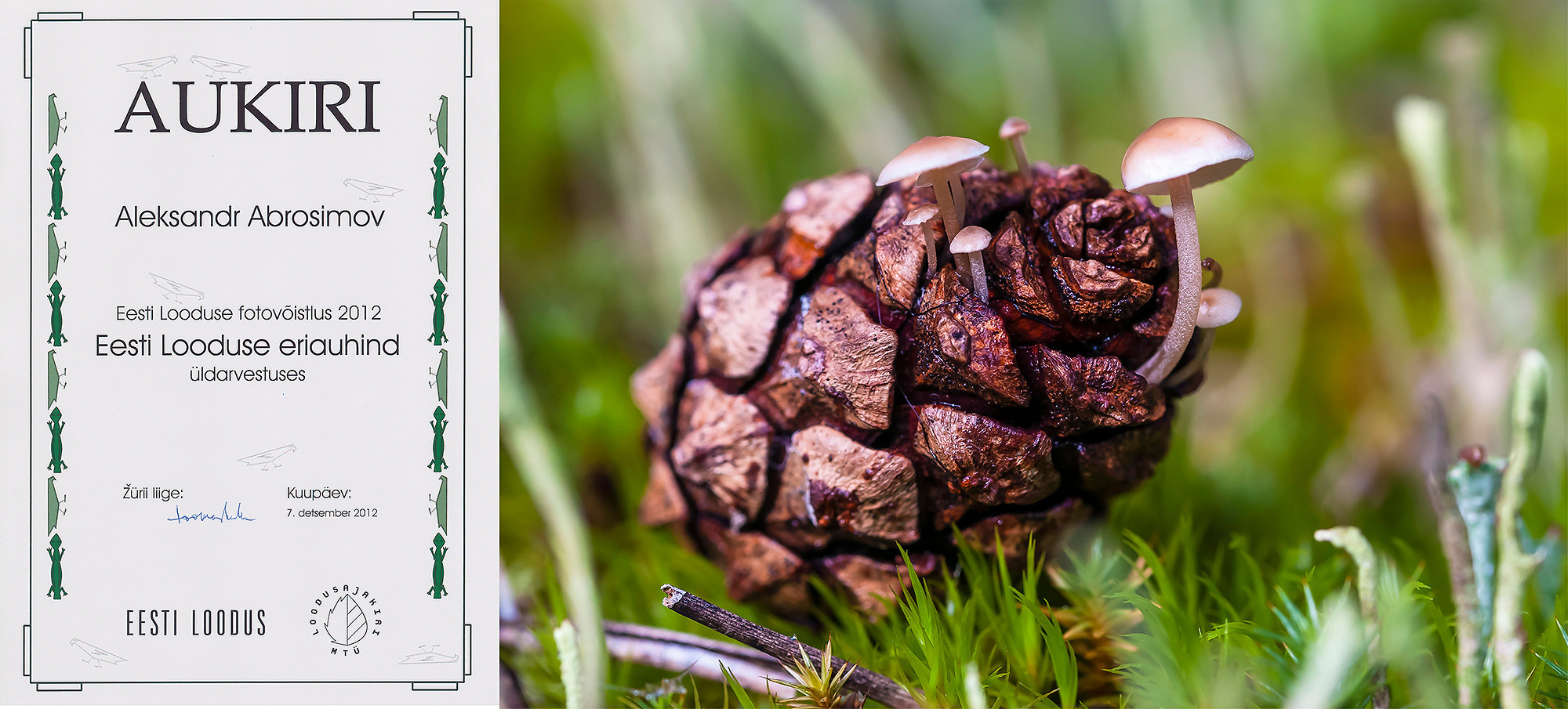 Awards and publications. Aleksandr Abrosimov Photography