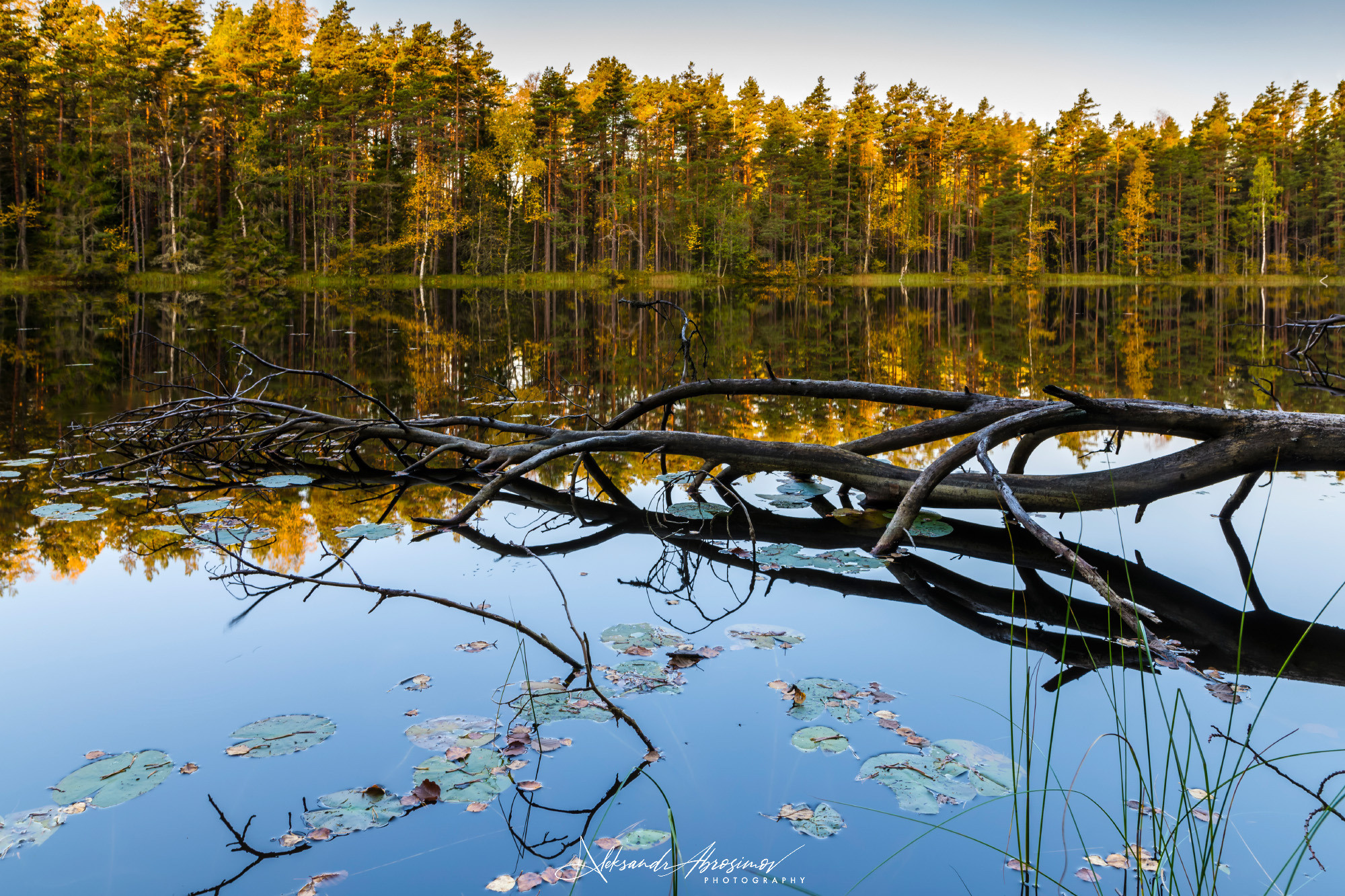 Landscapes. Пейзажи. Aleksandr Abrosimov Photography