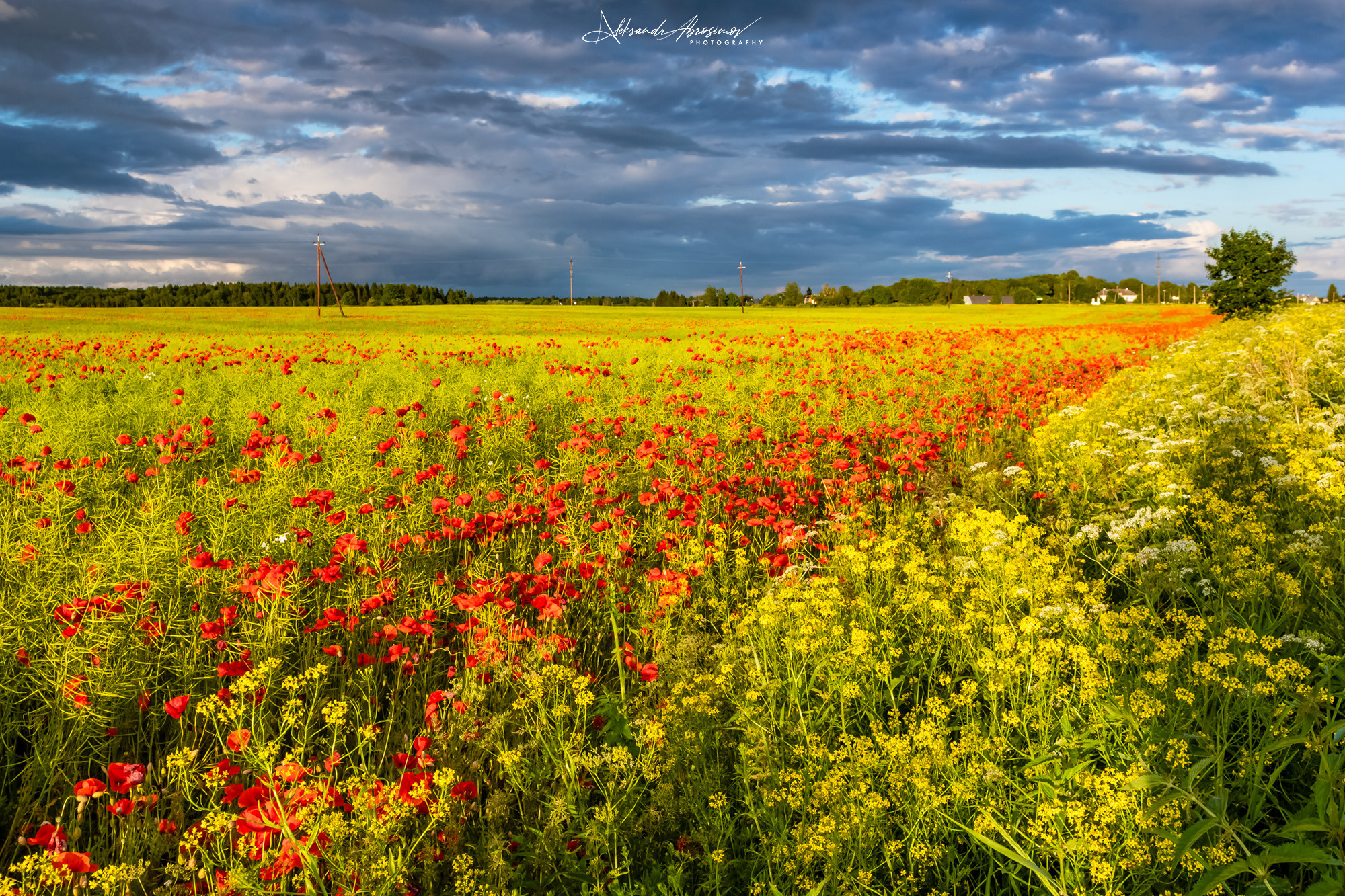 Landscapes. Пейзажи. Aleksandr Abrosimov Photography