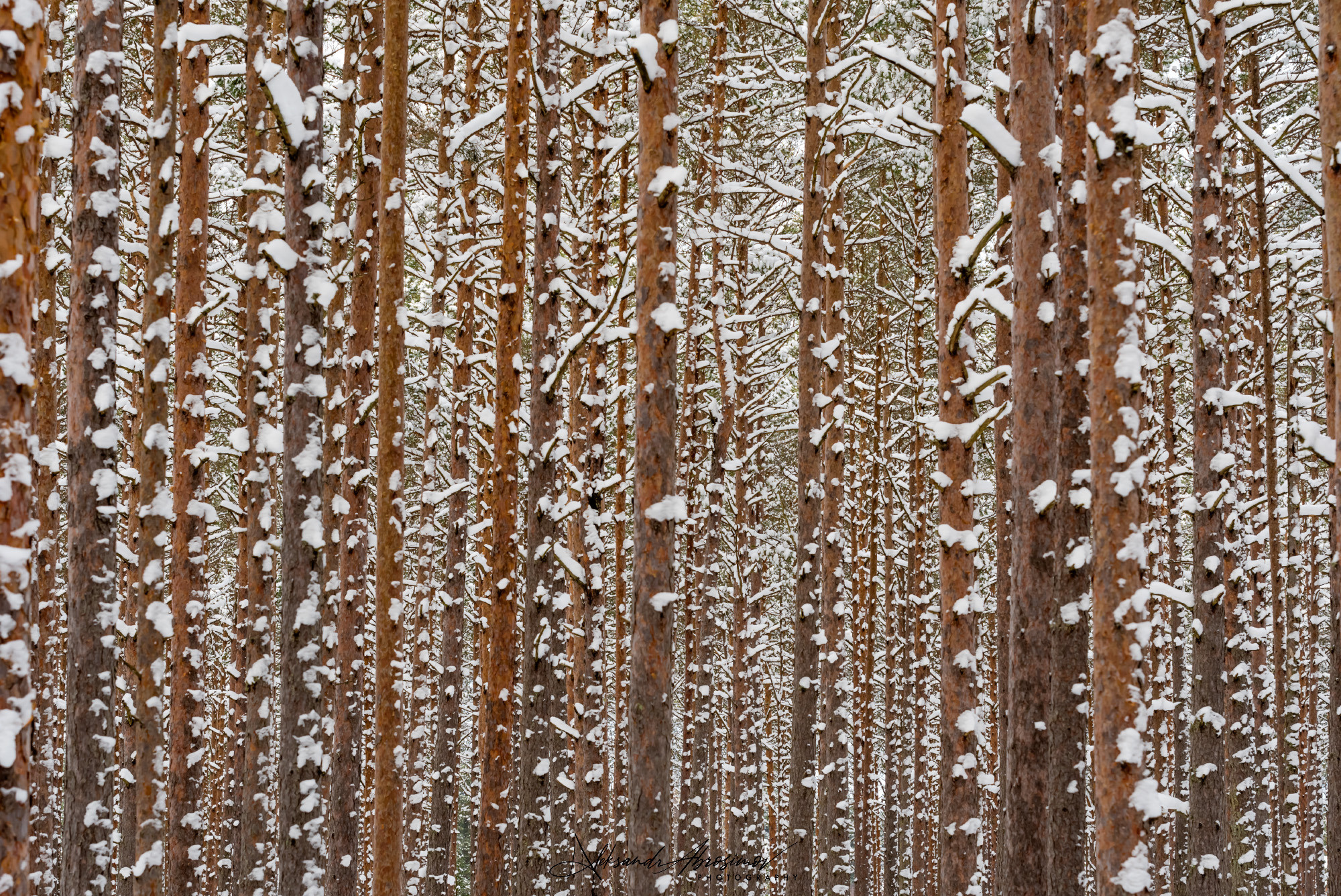 Winter landscape. Зимние пейзажи. Aleksandr Abrosimov Photography