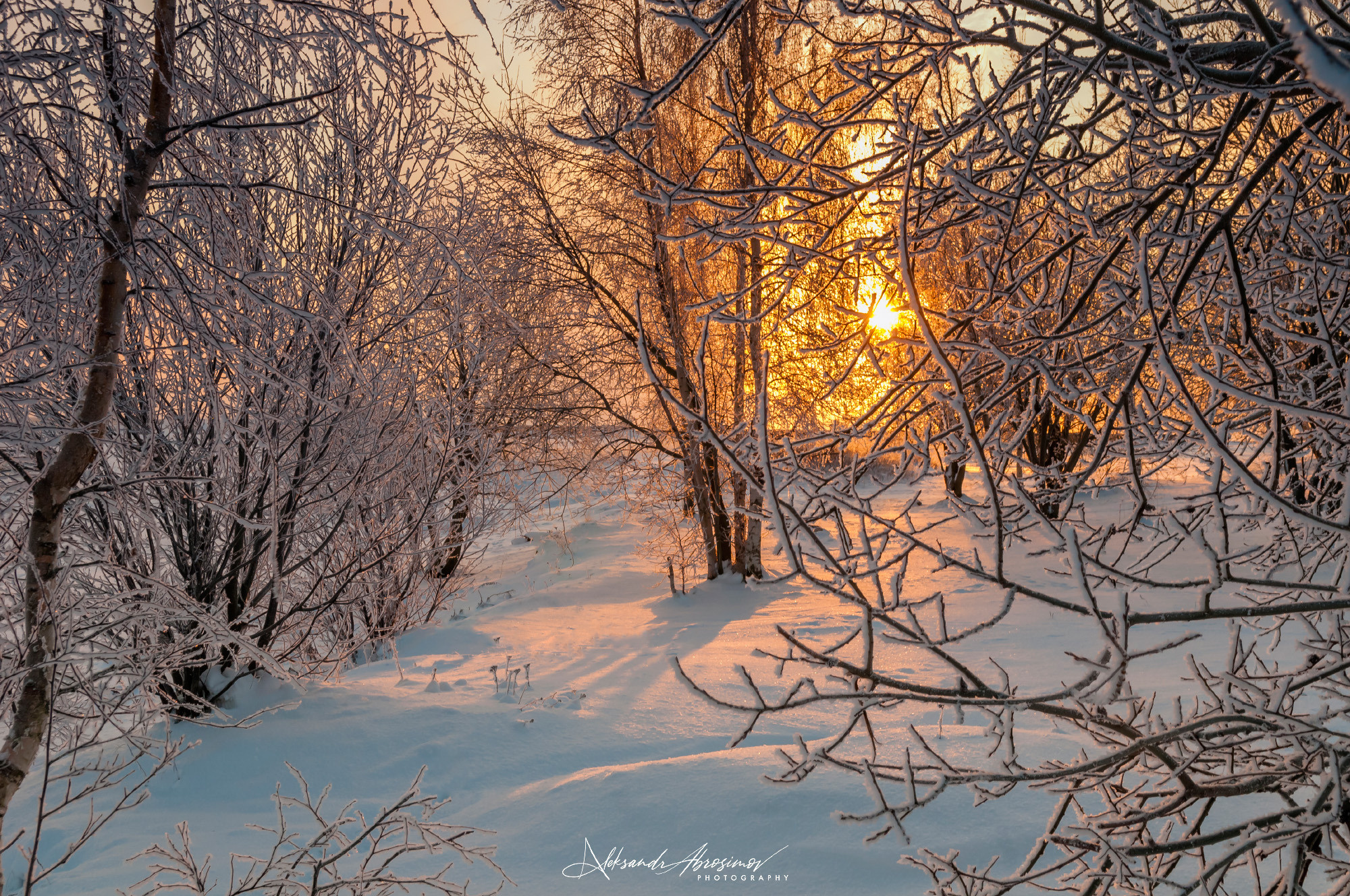 Winter landscape. Зимние пейзажи. Aleksandr Abrosimov Photography
