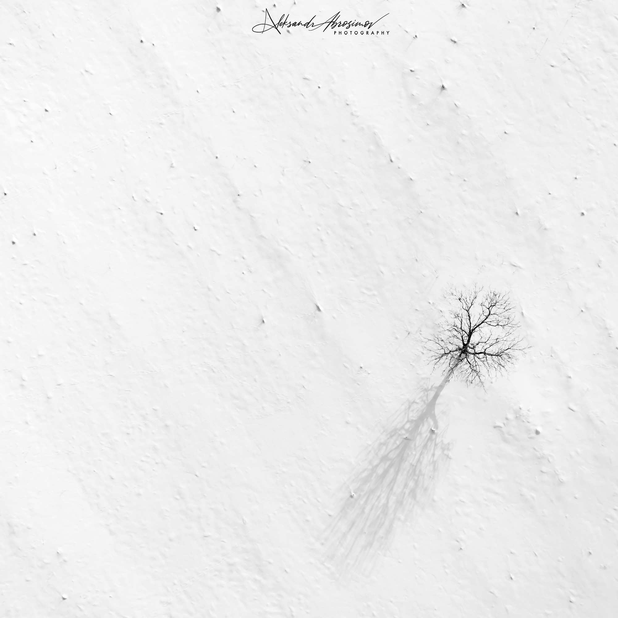 B&W. Aleksandr Abrosimov Photography