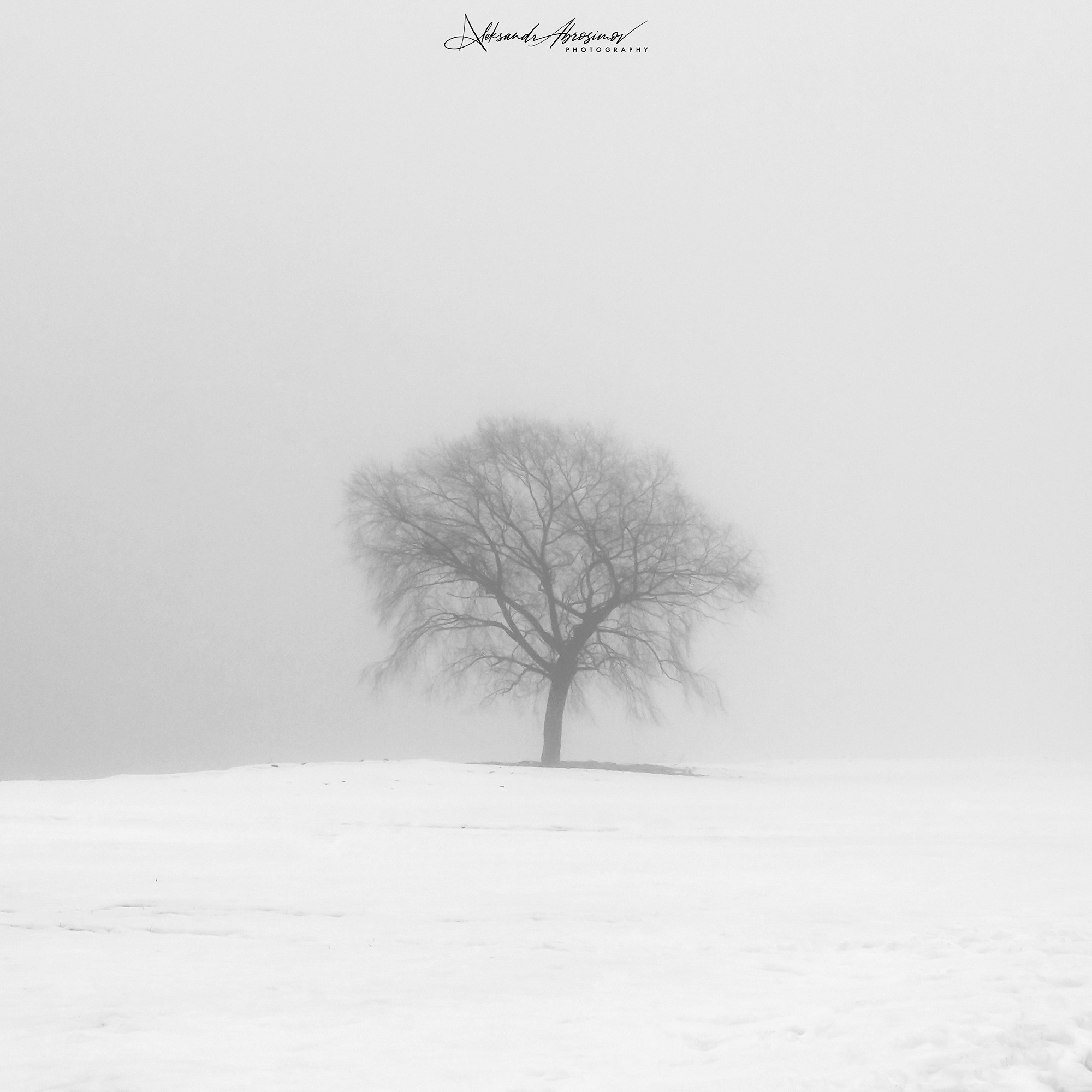 B&W. Aleksandr Abrosimov Photography