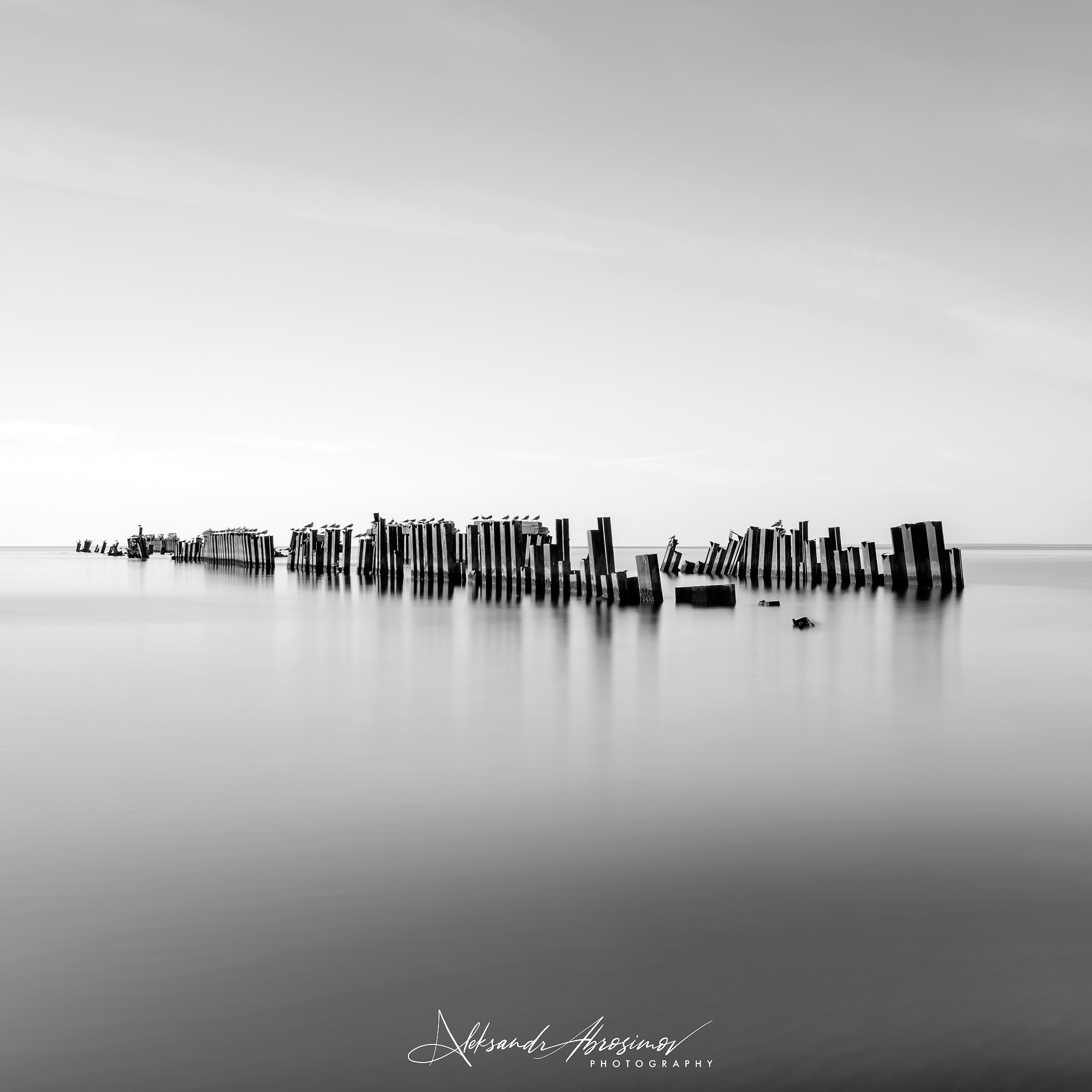 Art. Aleksandr Abrosimov Photography