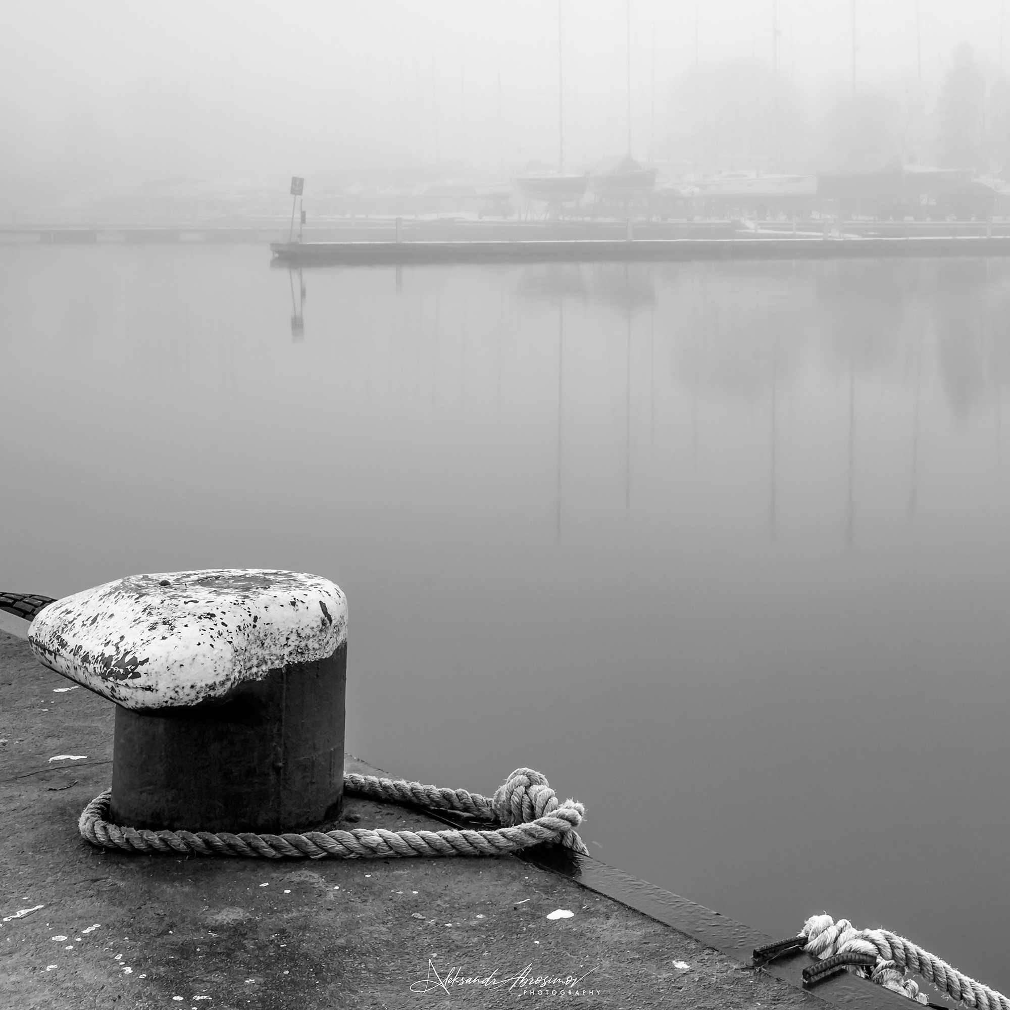 Art. Aleksandr Abrosimov Photography