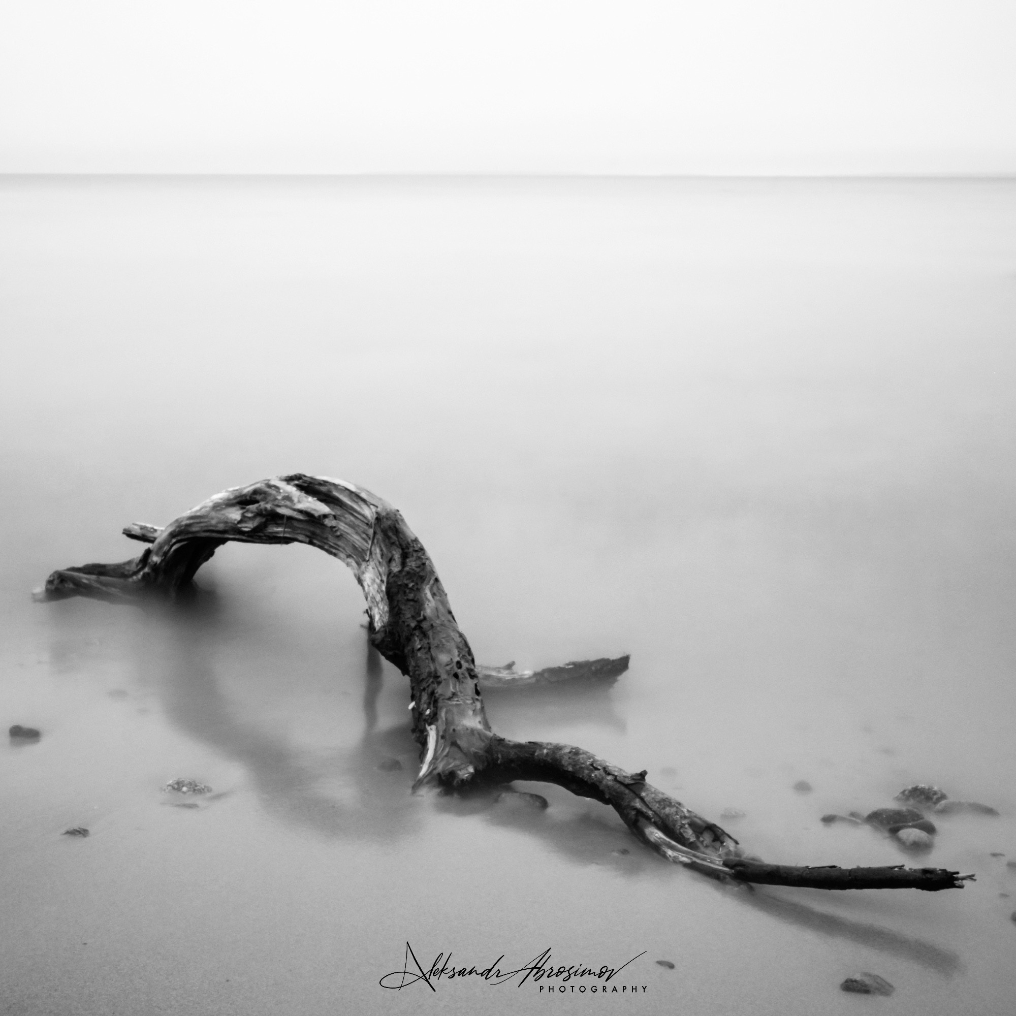 Art. Aleksandr Abrosimov Photography