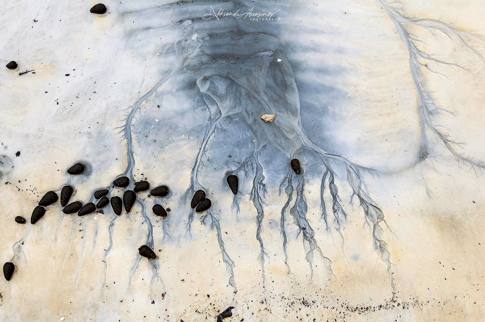 Nature. Природа. Aleksandr Abrosimov Photography