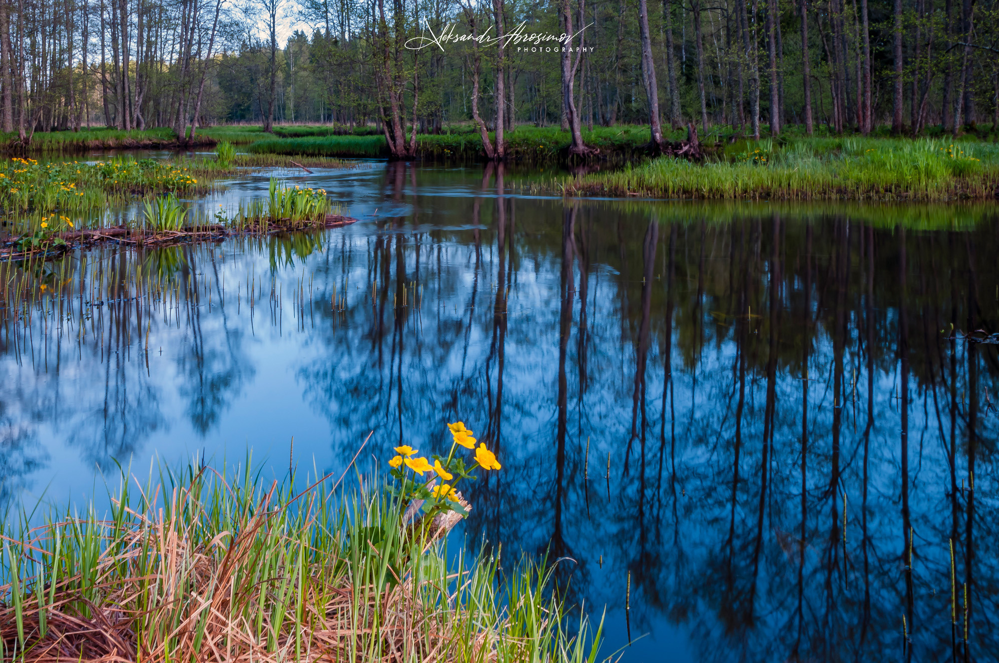 Landscapes. Пейзажи. Aleksandr Abrosimov Photography