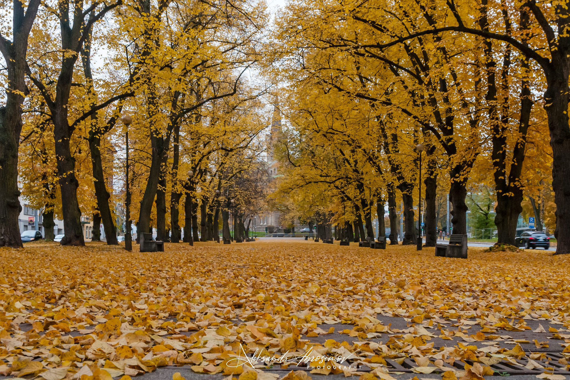 Сityscape. Городской пейзаж. Aleksandr Abrosimov Photography
