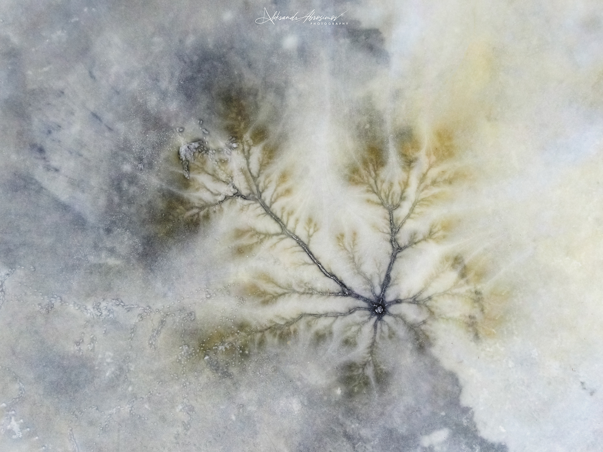 Рисунки природы. The drawings of nature. Aleksandr Abrosimov Photography