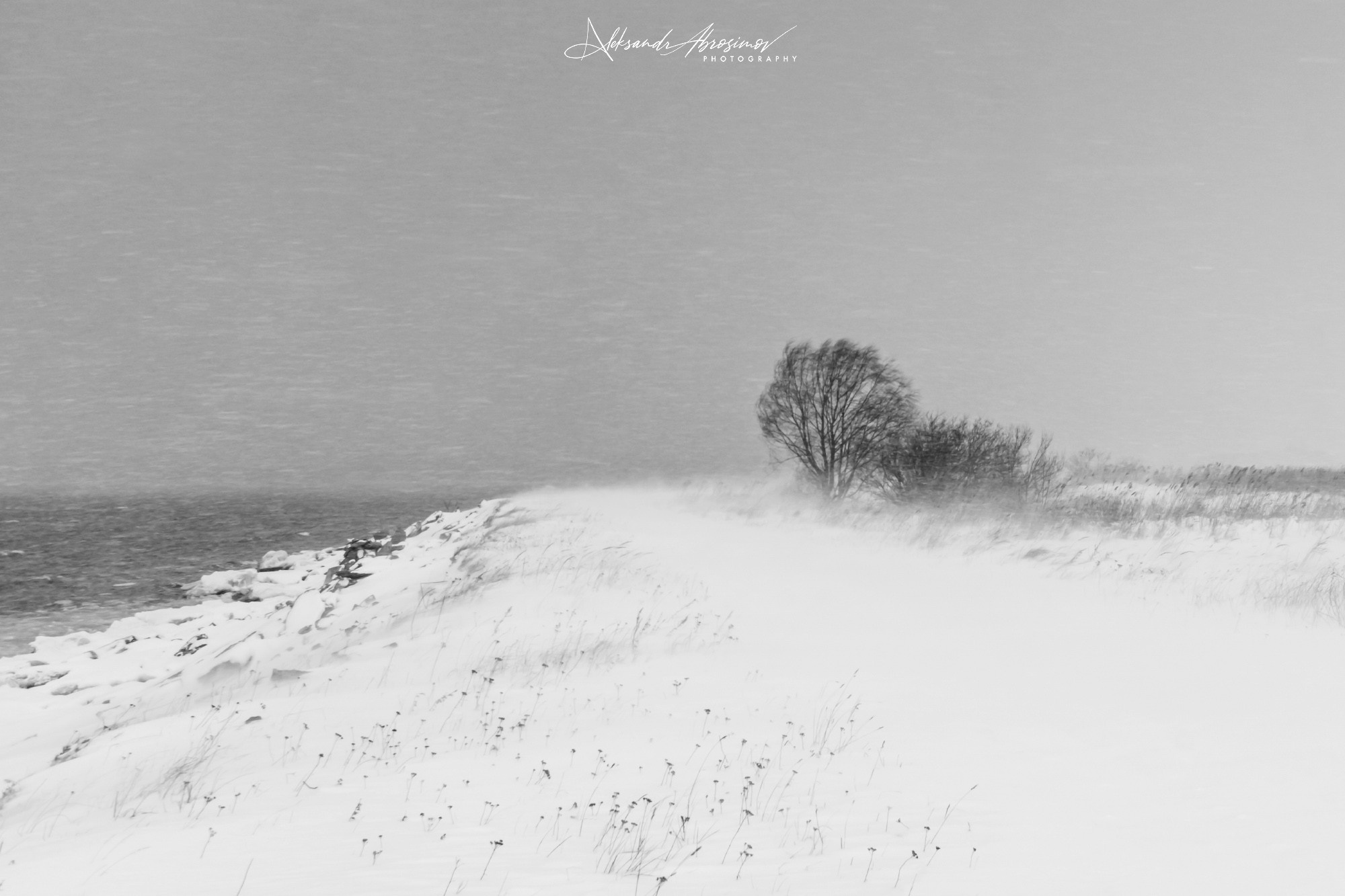 B&W. Aleksandr Abrosimov Photography