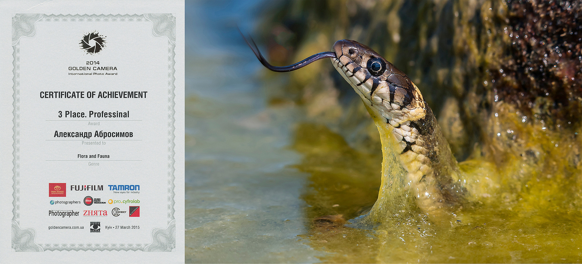 Awards and publications. Aleksandr Abrosimov Photography