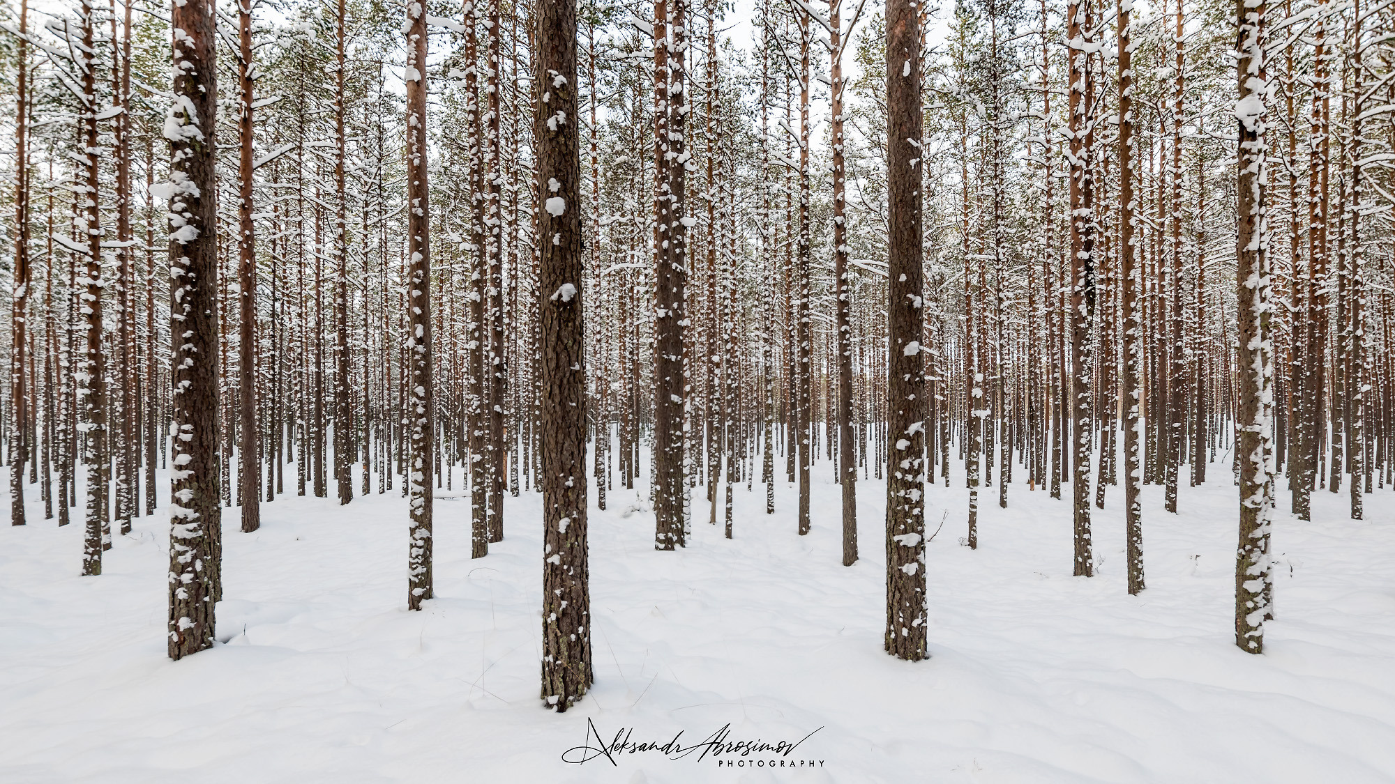 Winter landscape. Зимние пейзажи. Aleksandr Abrosimov Photography