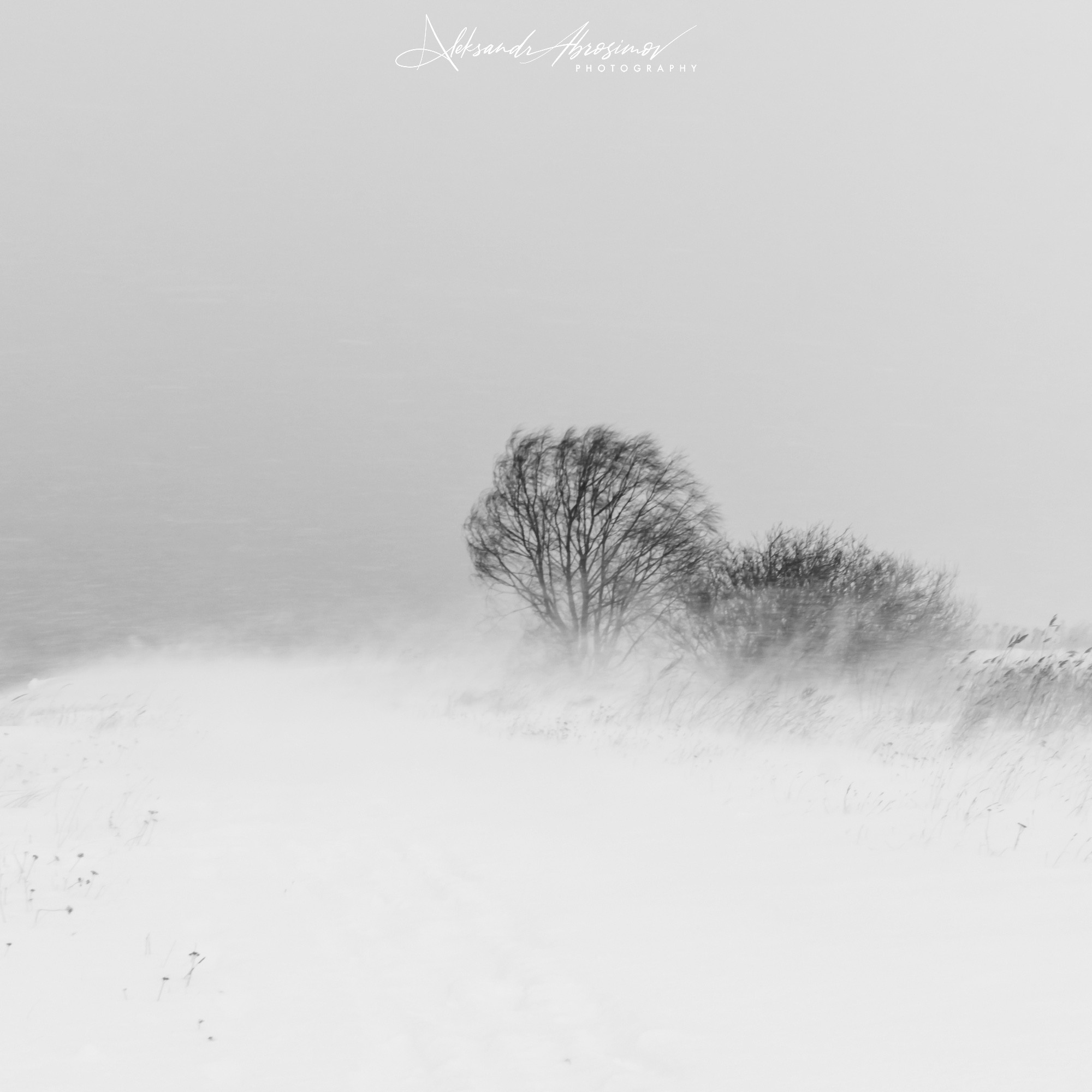 B&W. Aleksandr Abrosimov Photography