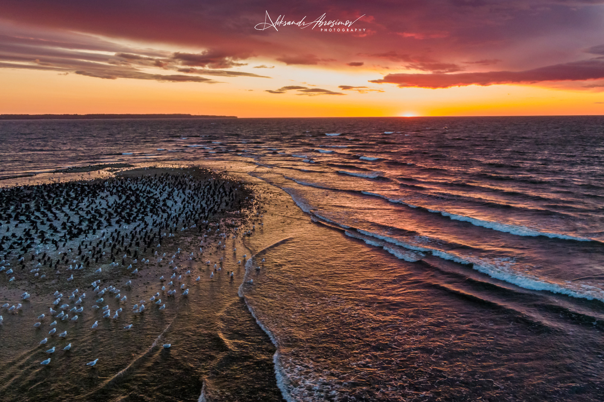 Aerial photography. Аэрофотосъемка. Aleksandr Abrosimov Photography