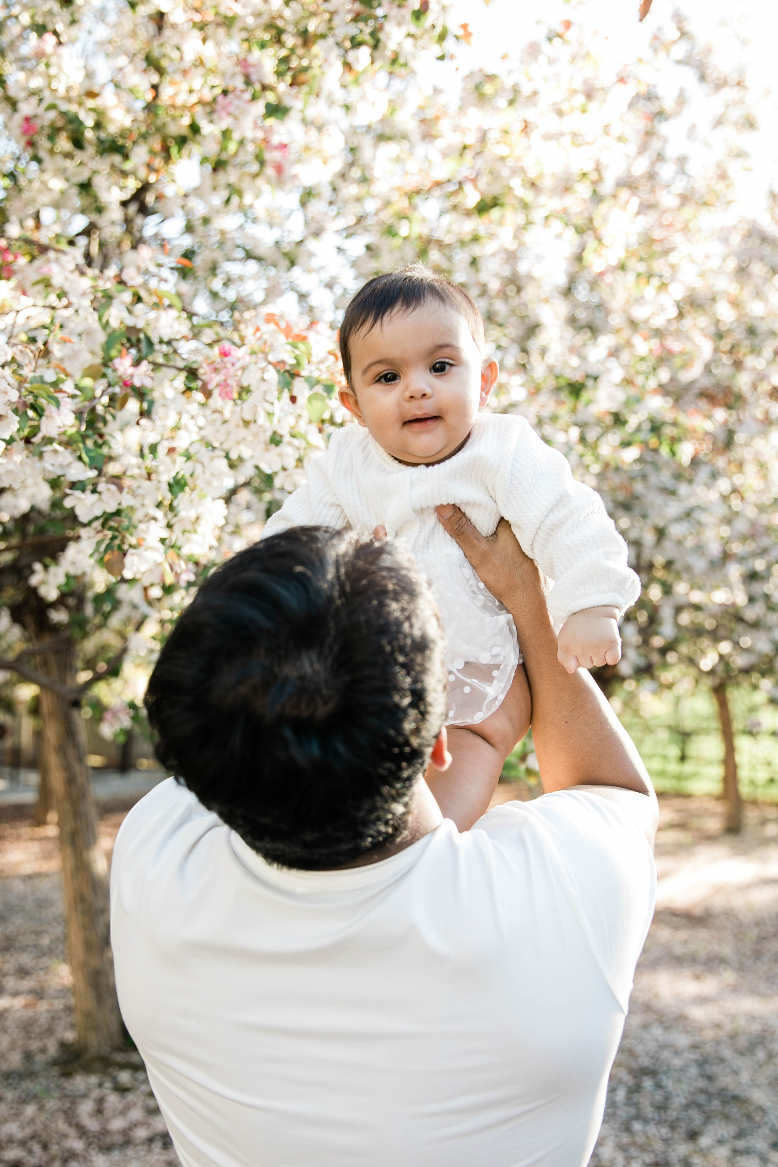 Nabeel Cherry Blossoms. Fotografía accesible en Calgary