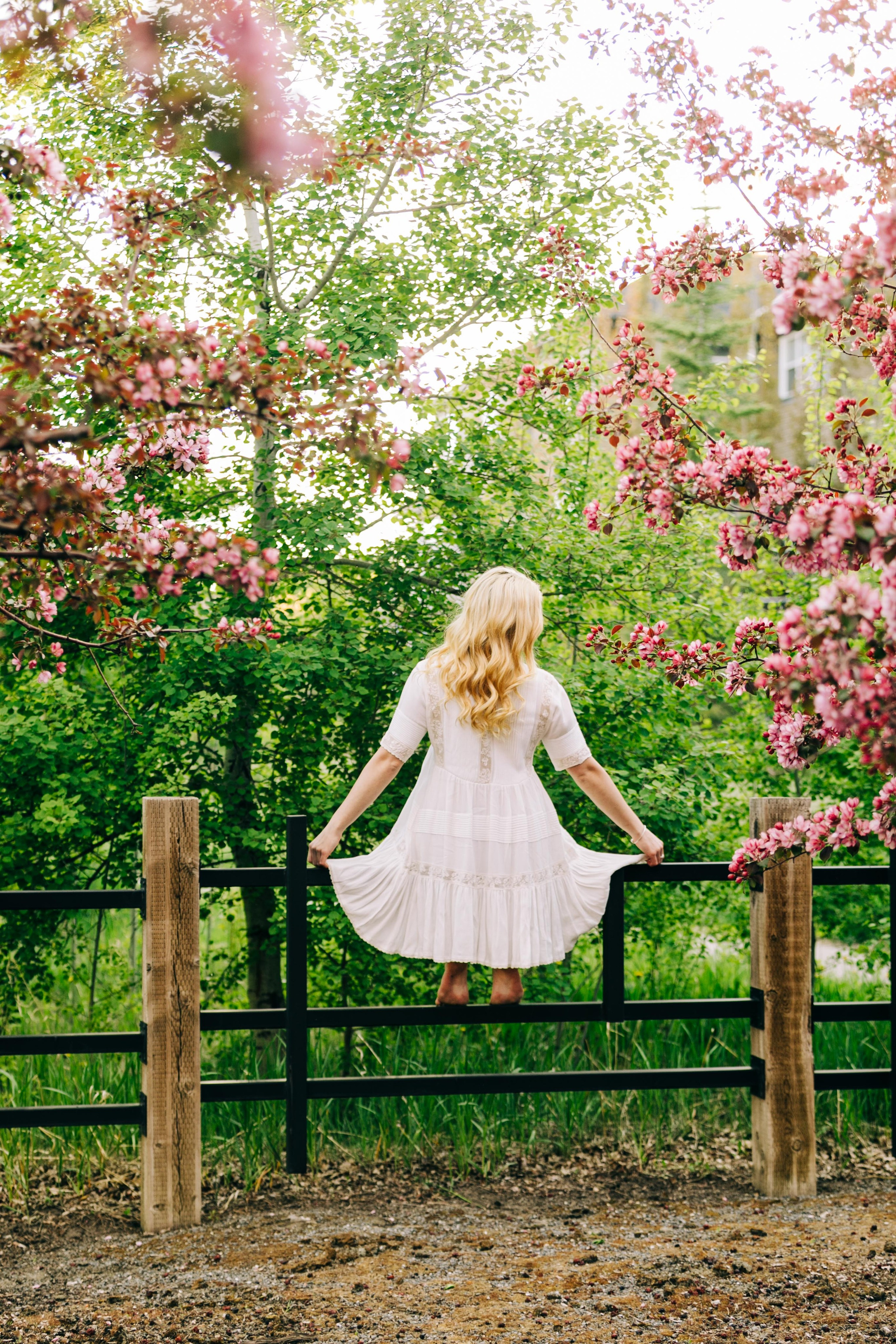 Leanne — Cherry Blossoms. Fotografía accesible en Calgary